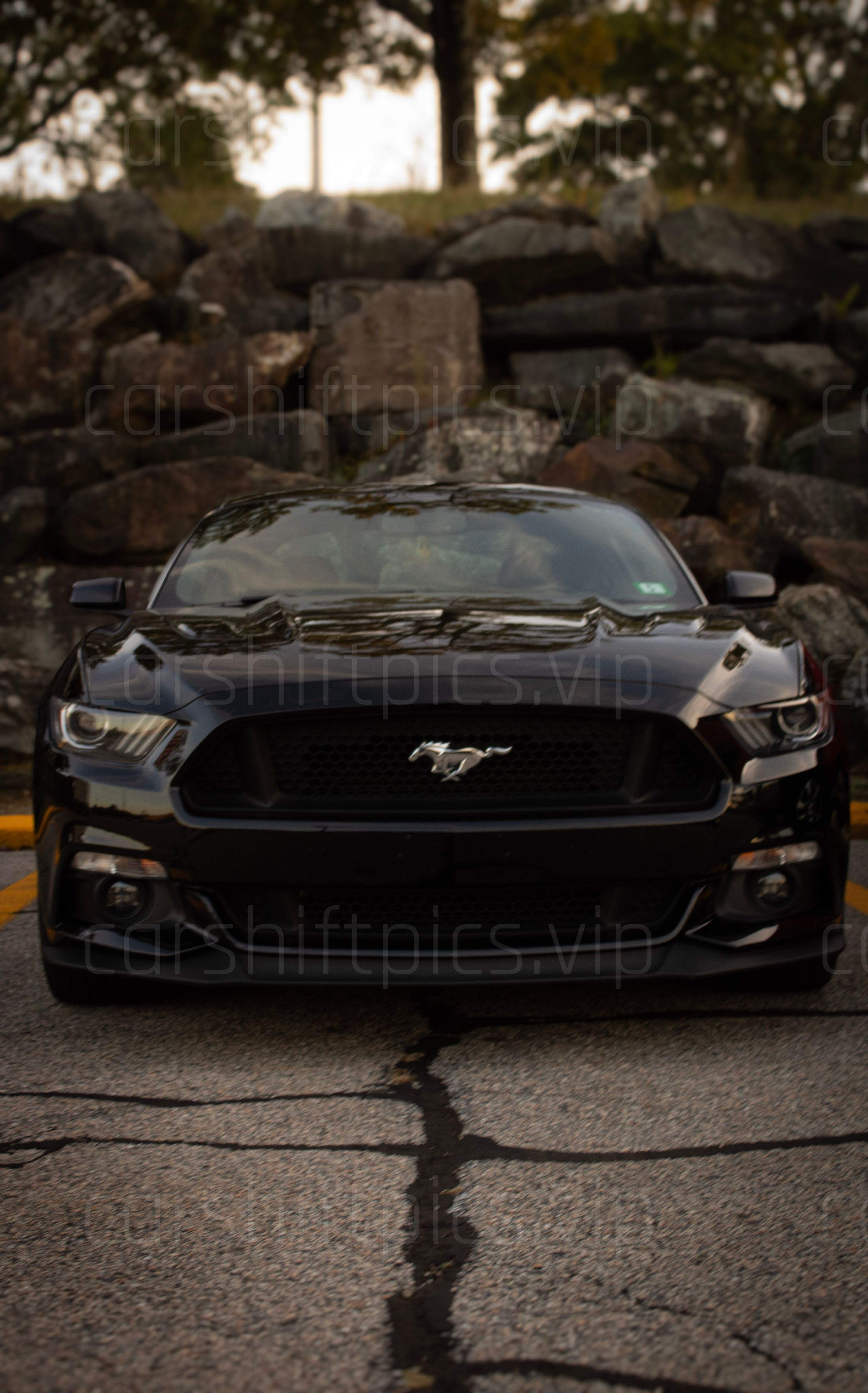 carshiftpics's image