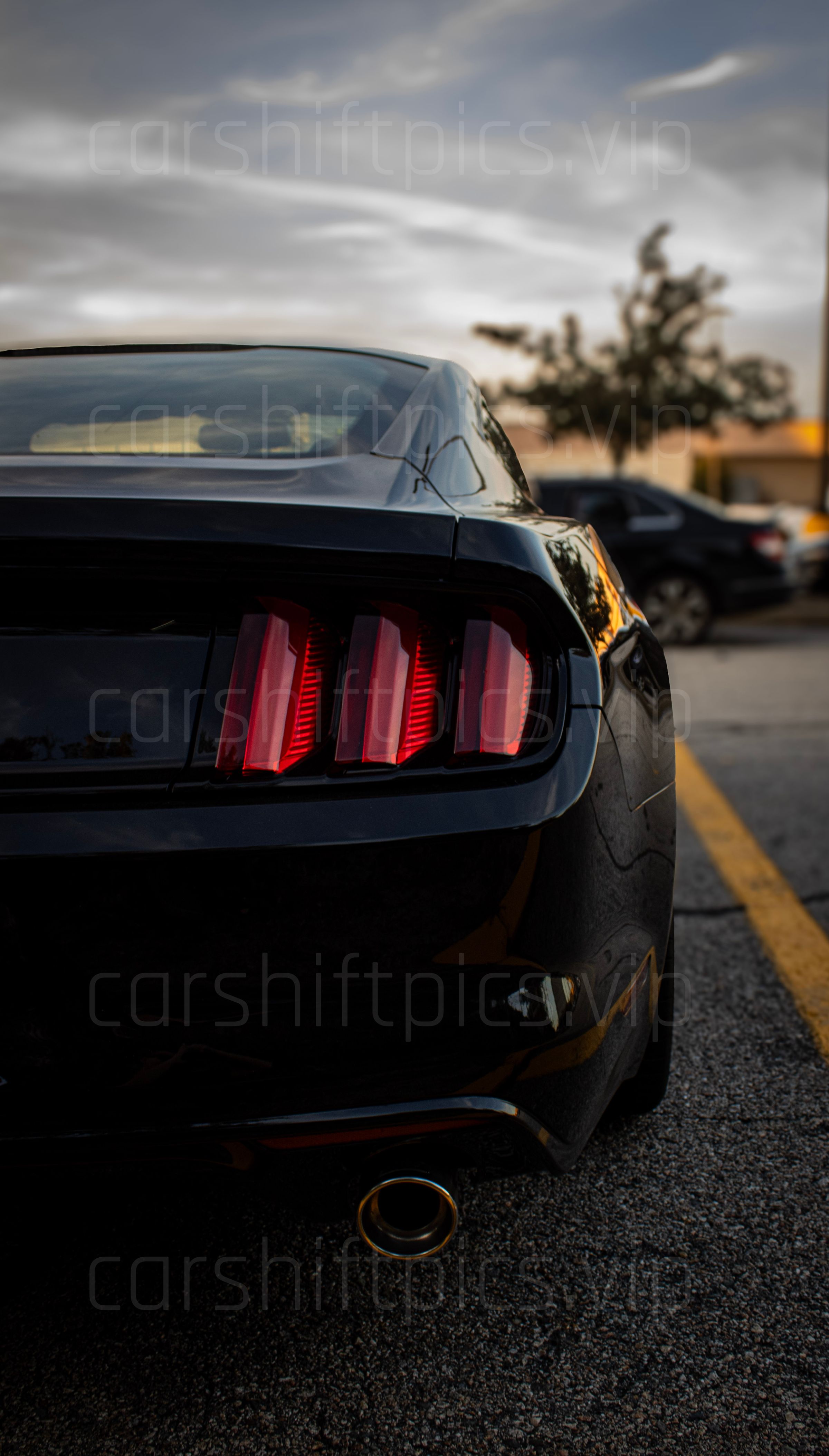 carshiftpics's image