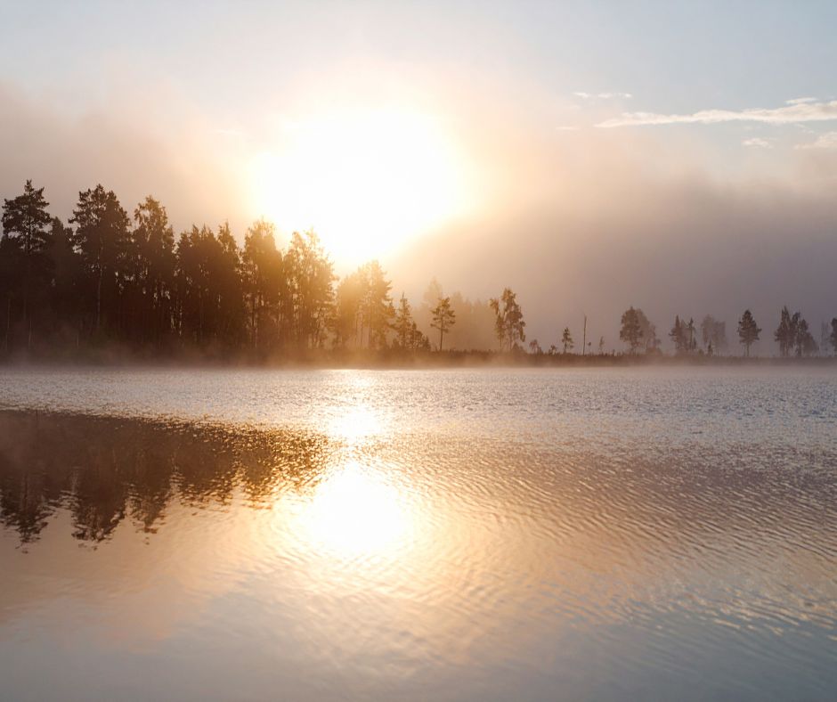 Rooted in Faith Reiki Healing 's image