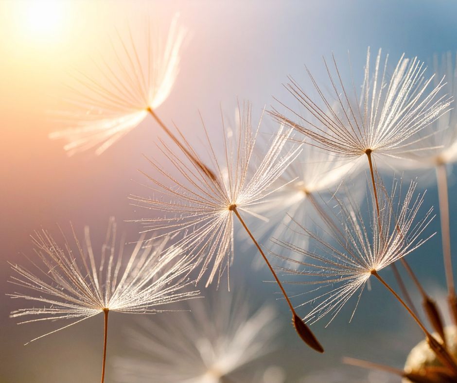 Rooted in Faith Reiki Healing 's image