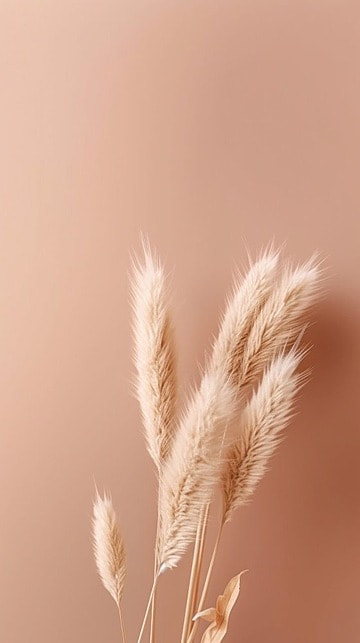 A Healing Light Family Counseling's image