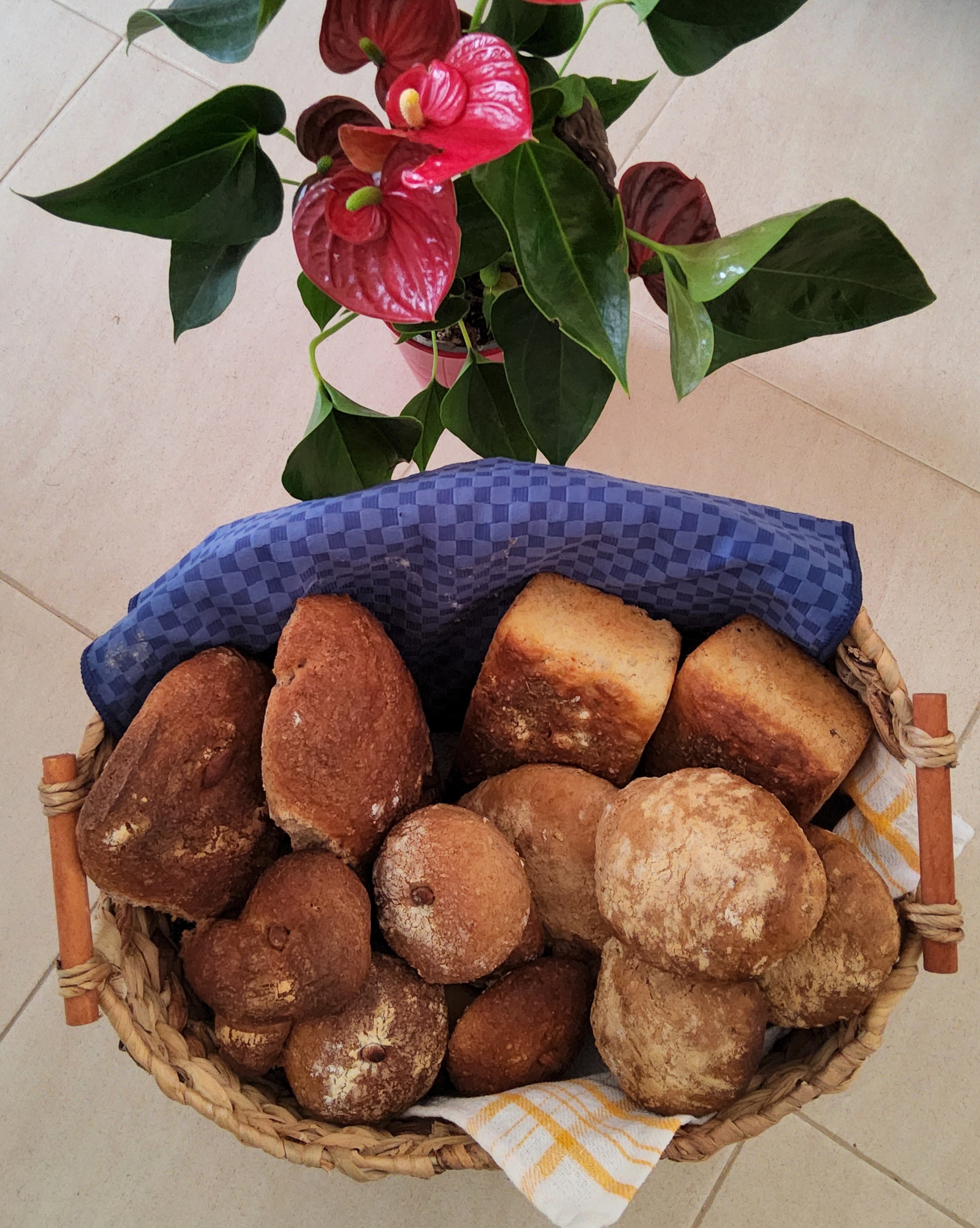 todas as letras de  A - Z  e números  de  0 - 9