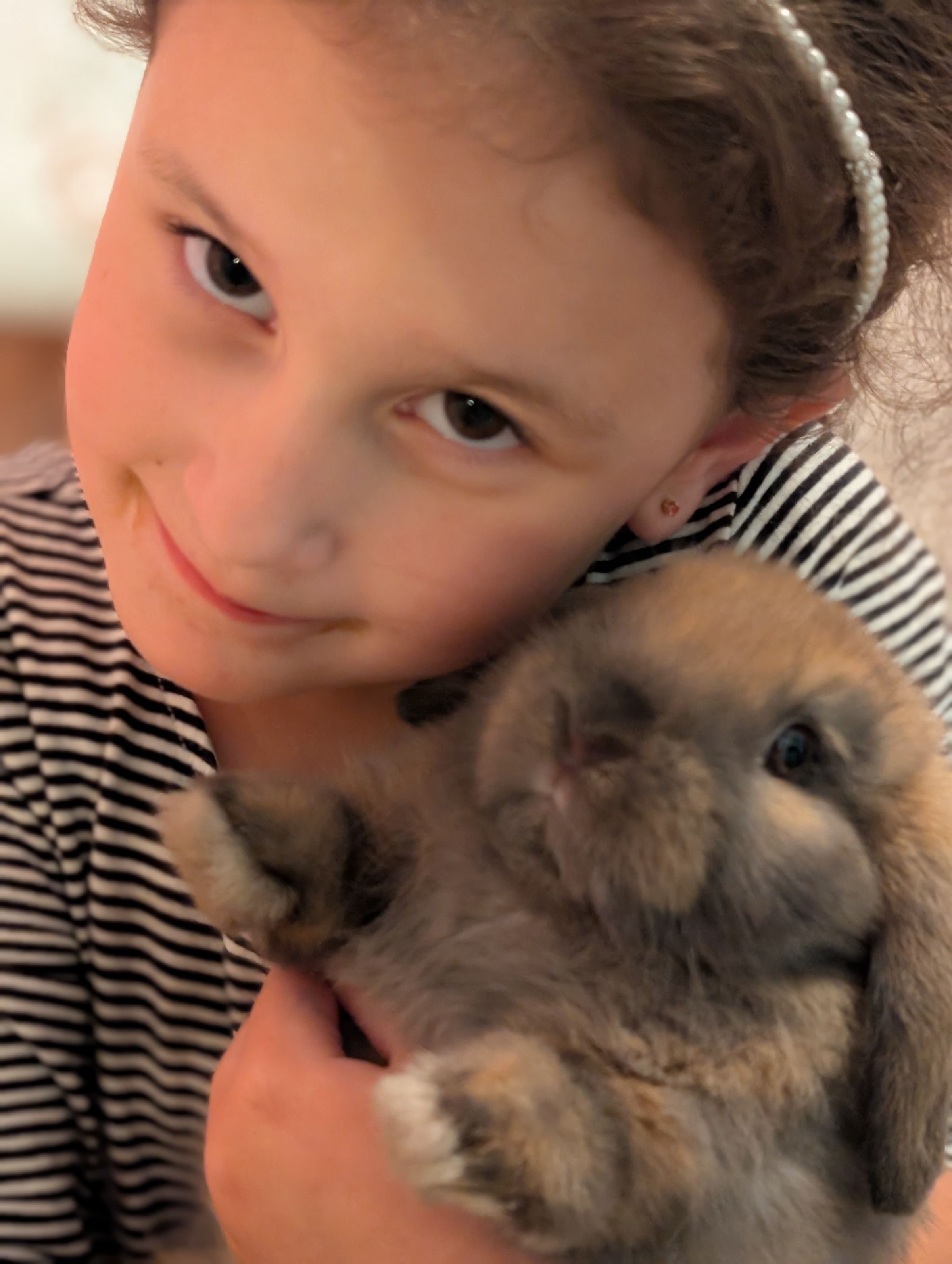 Holland Hoppers's image