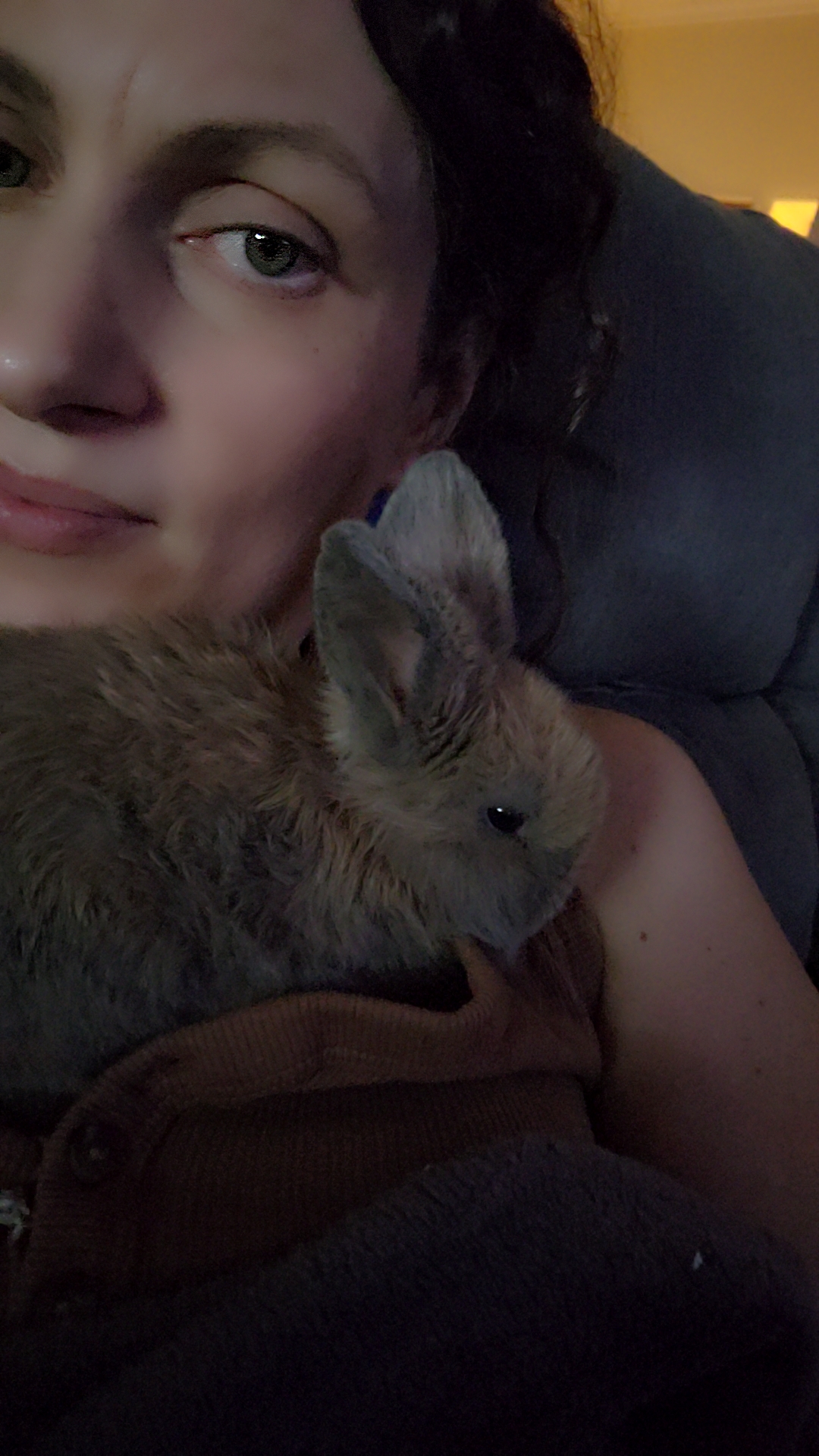 Holland Hoppers's image