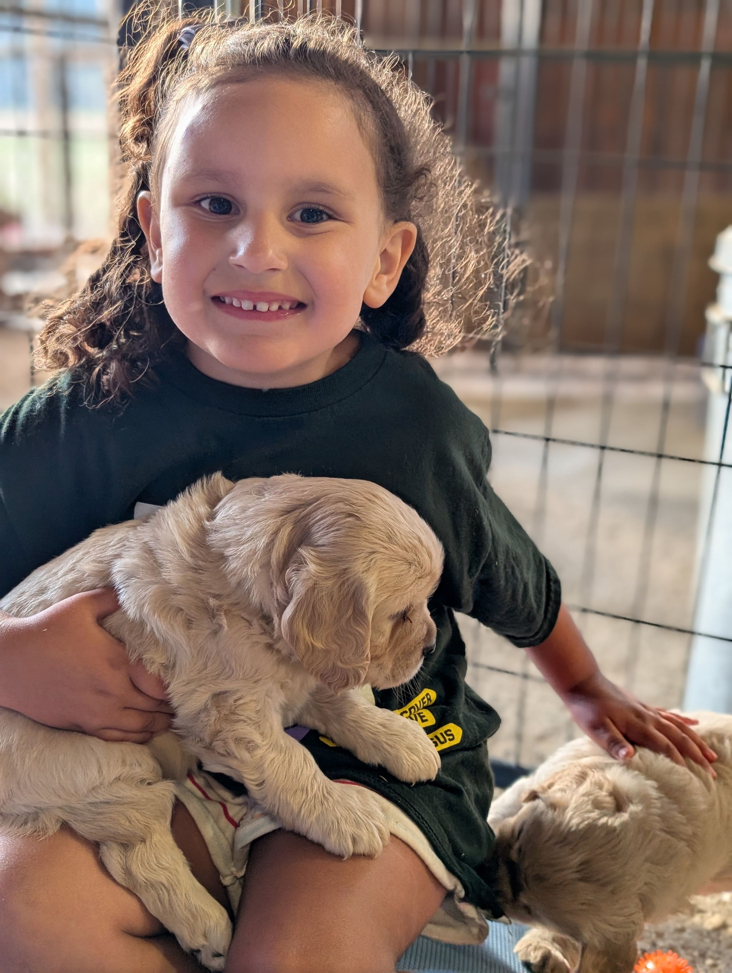 Holland Hoppers's image