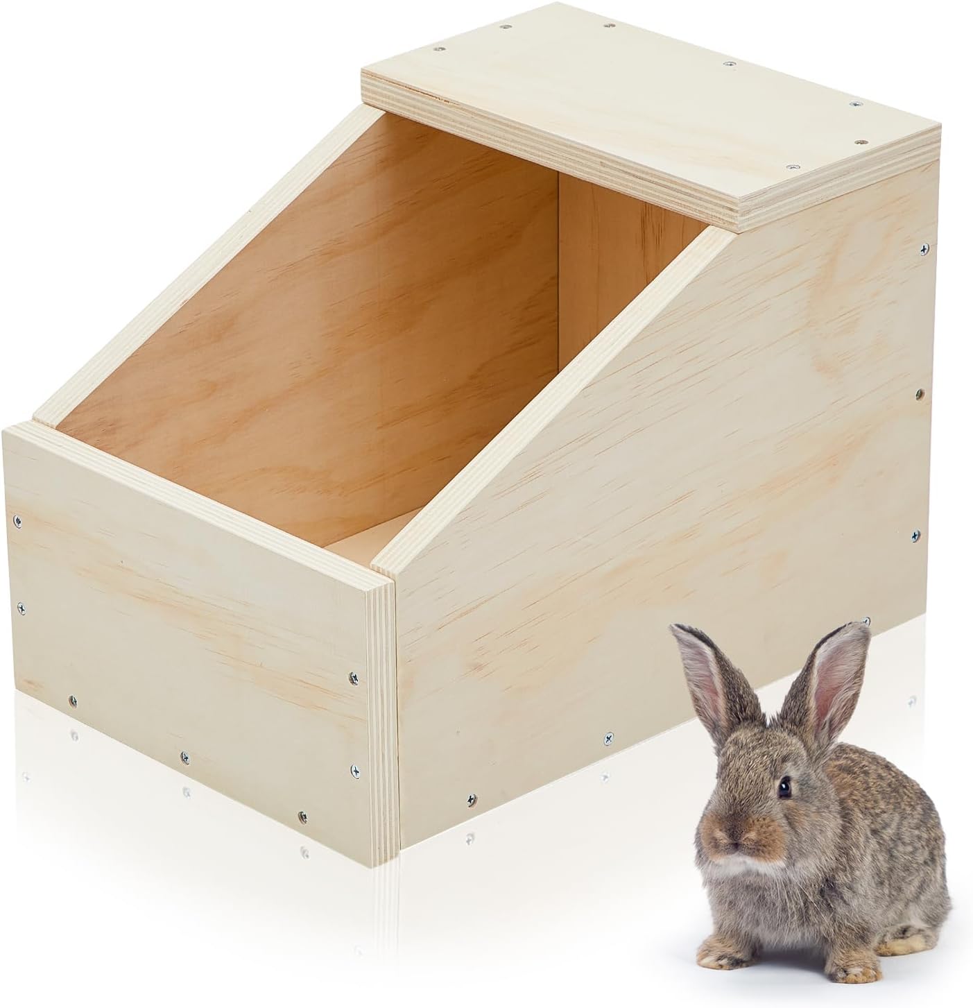 Holland Hoppers's image