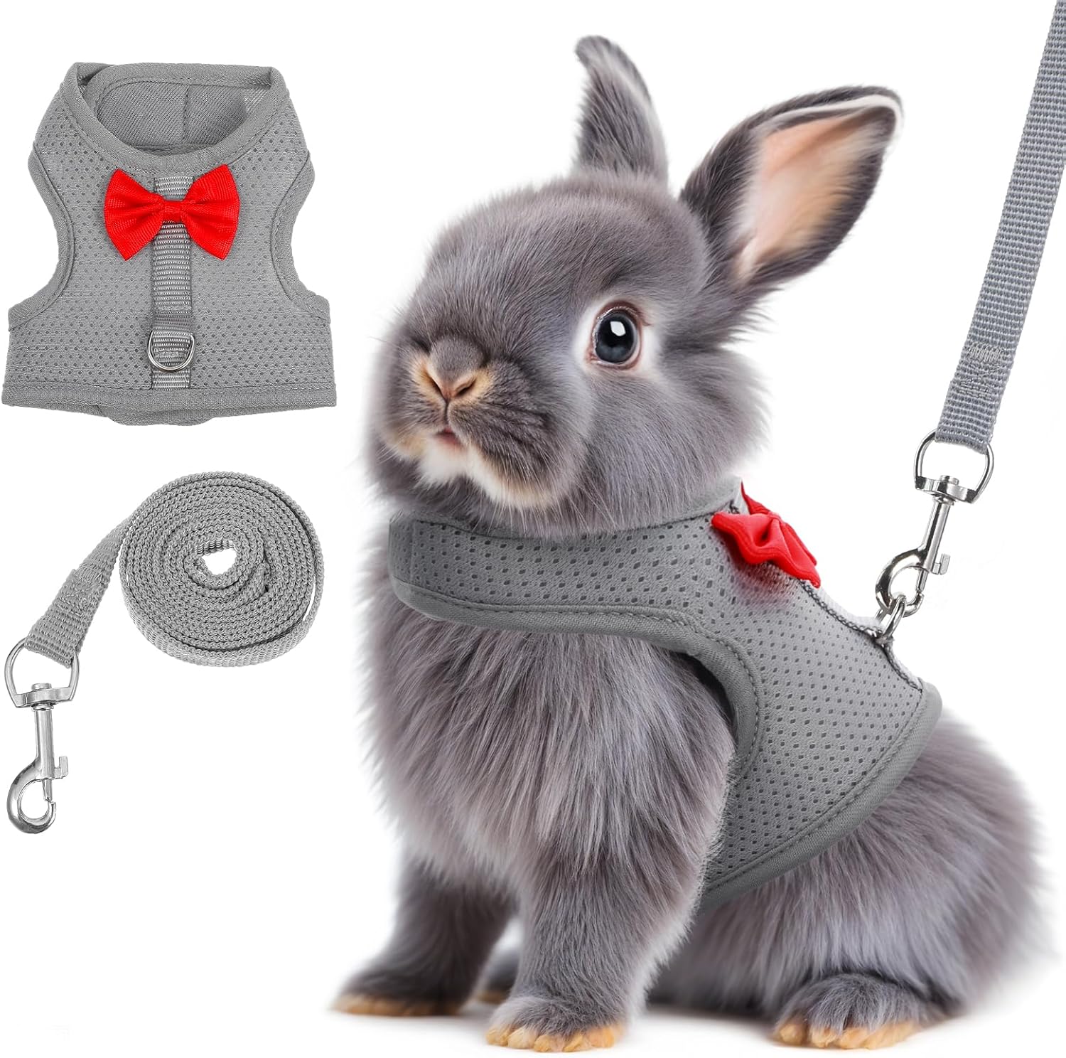 Holland Hoppers's image