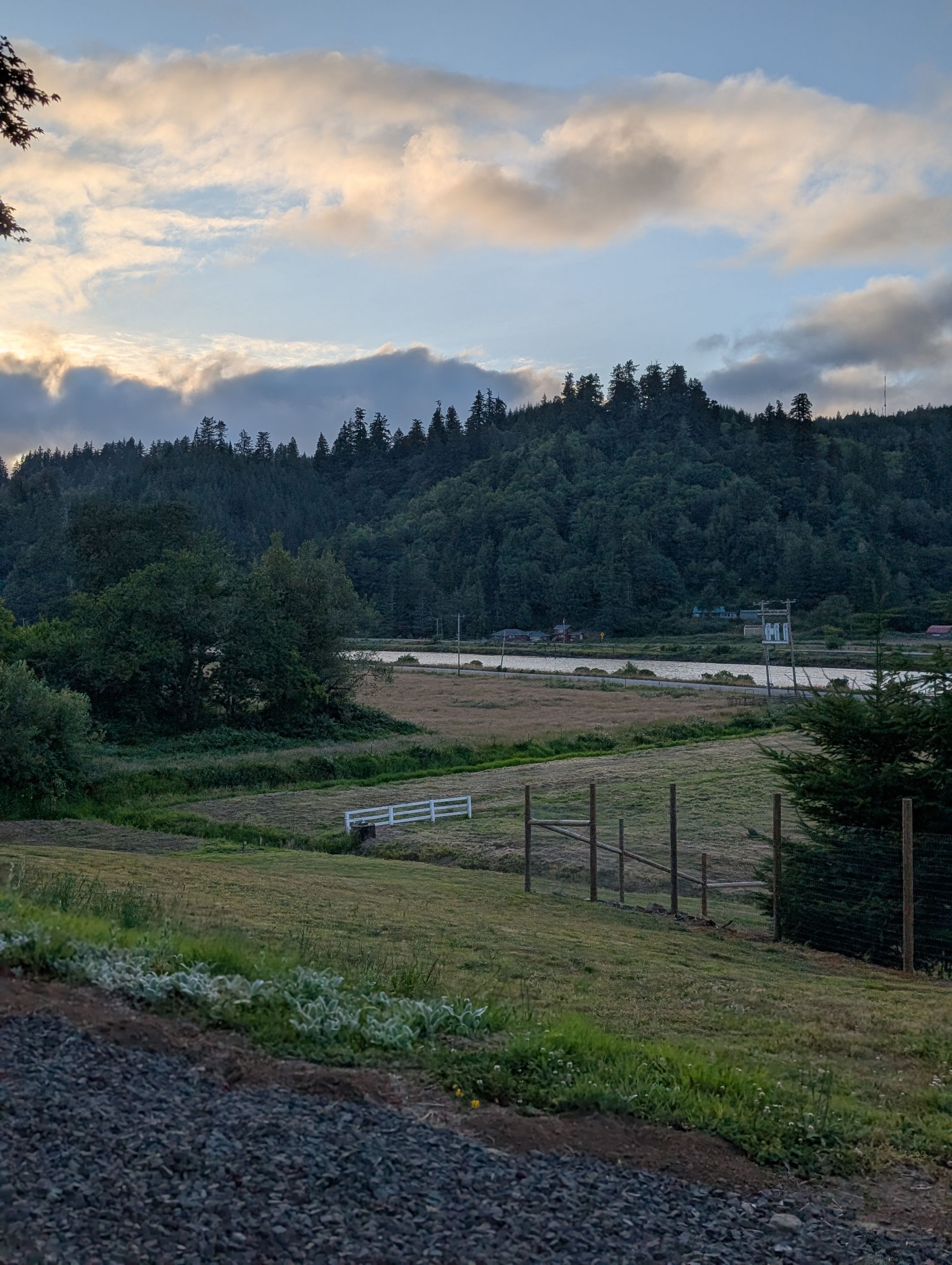 Holland Hoppers's image