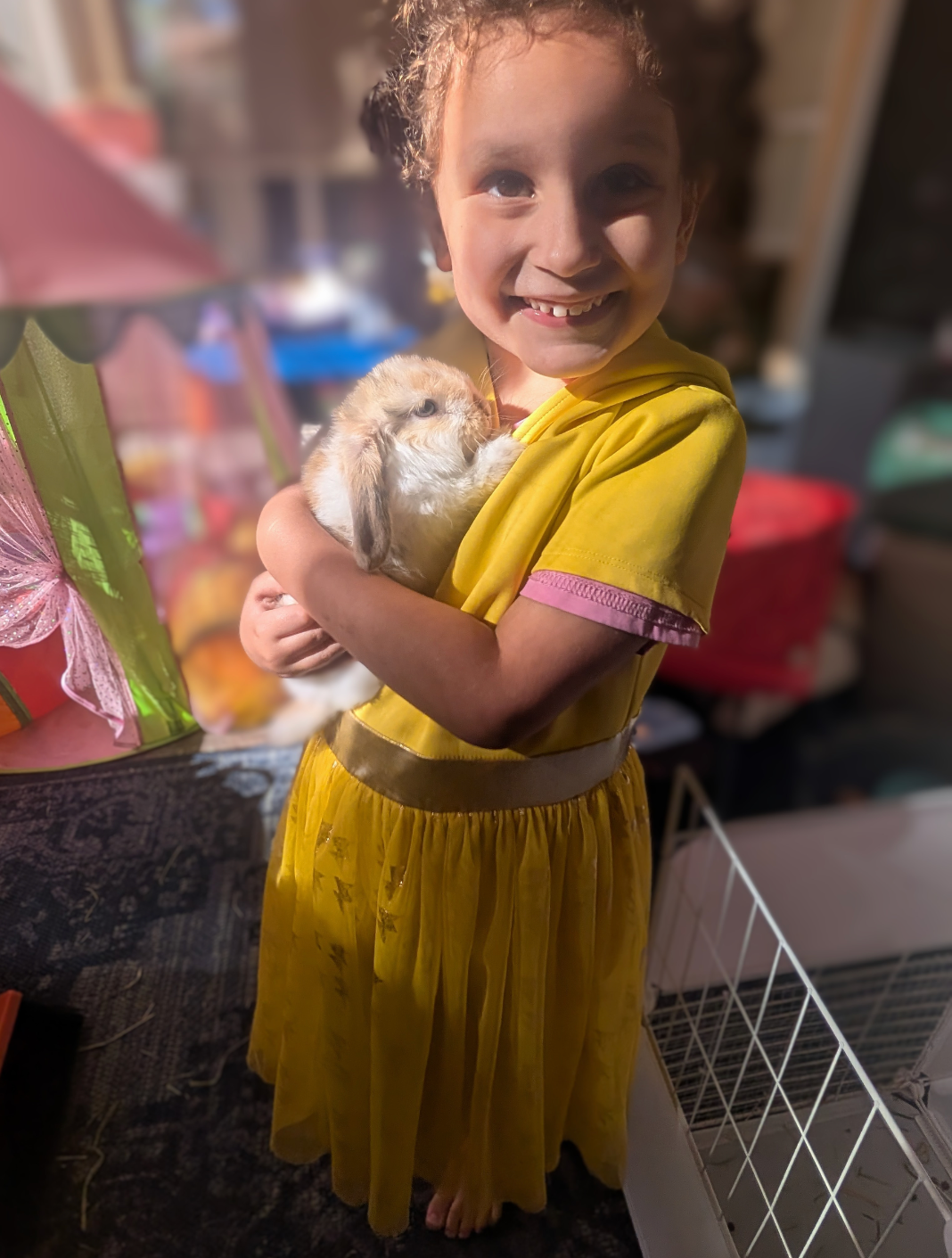 Holland Hoppers's image