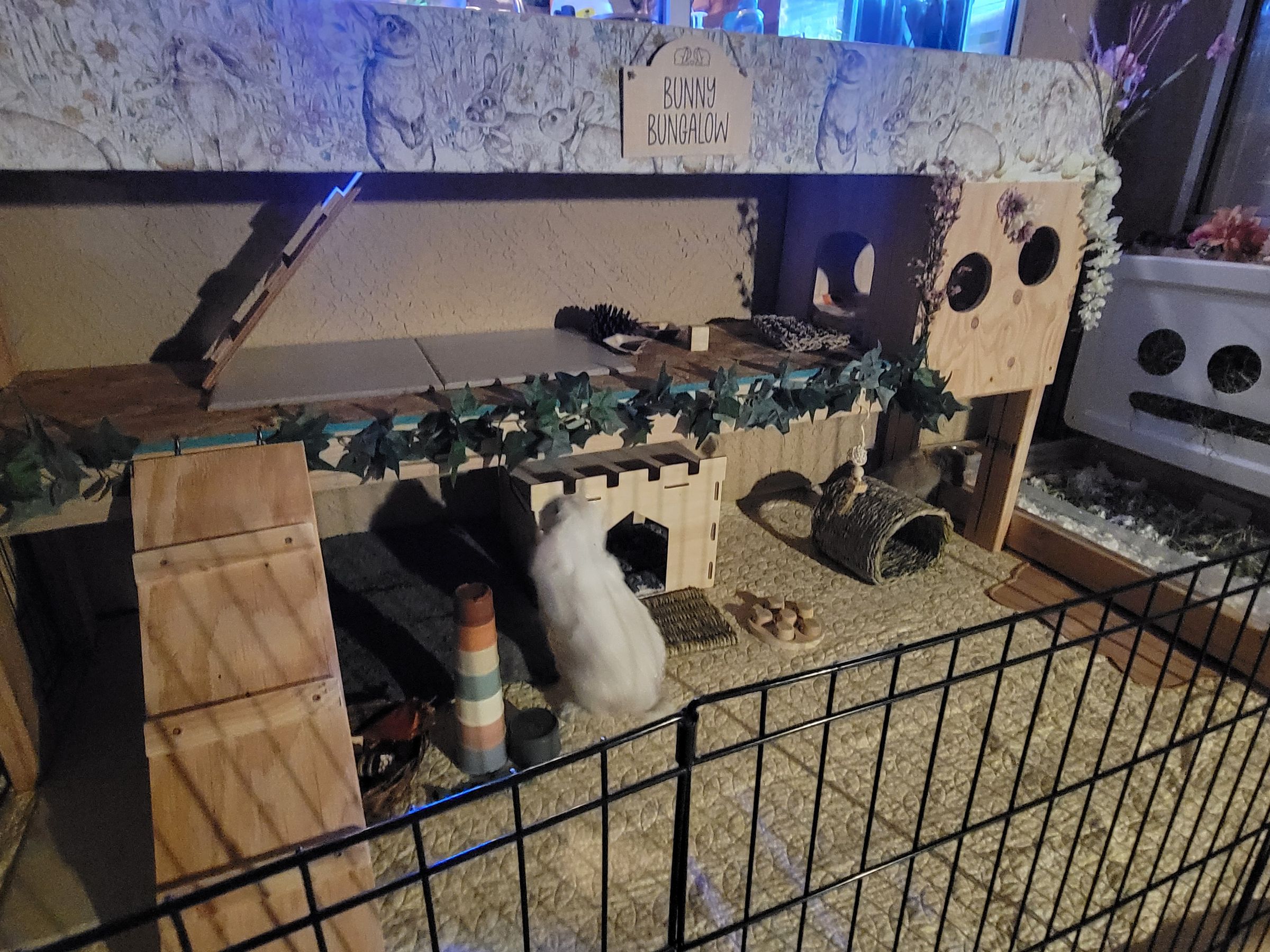 Holland Hoppers's image