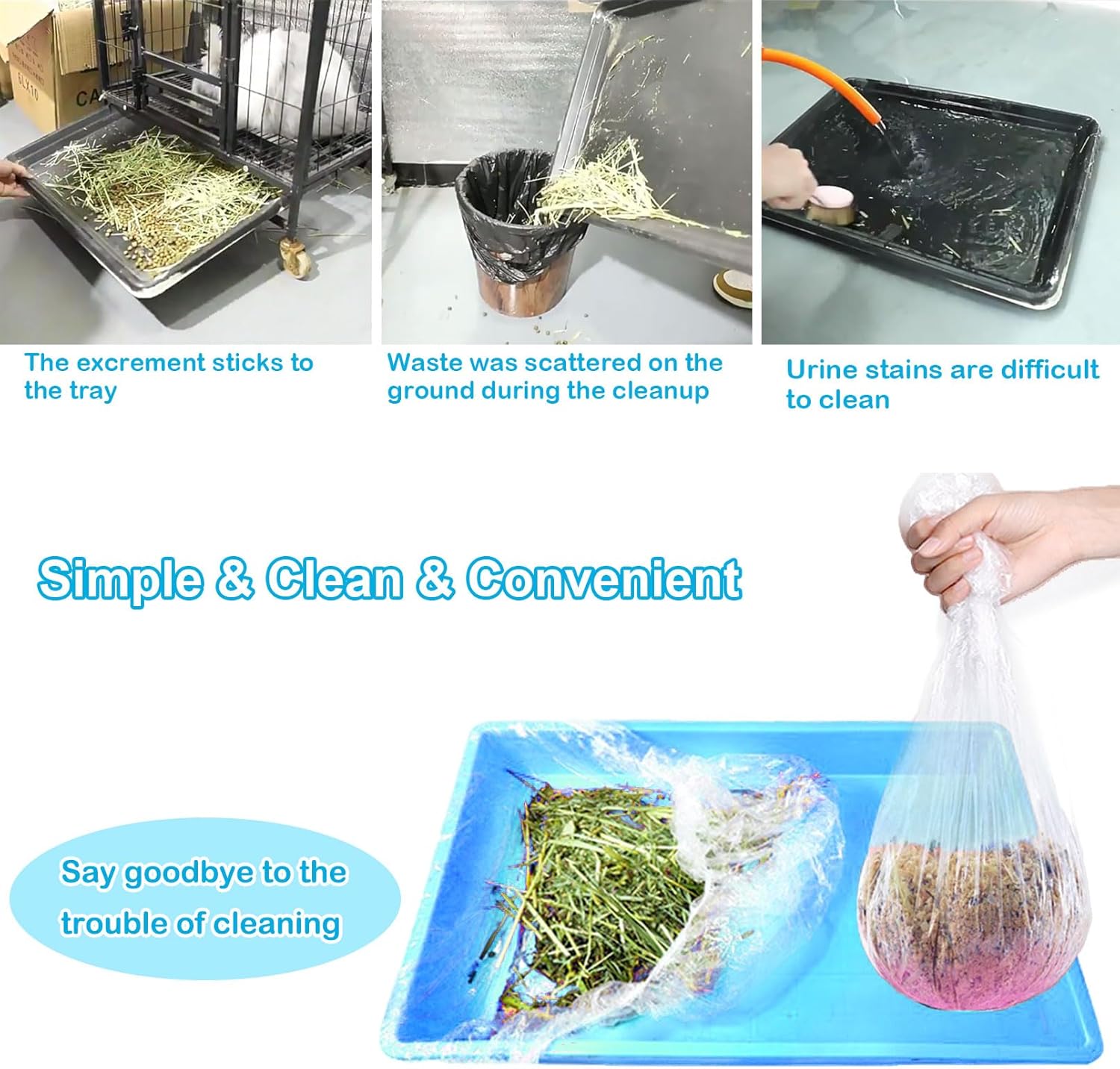 Holland Hoppers's image