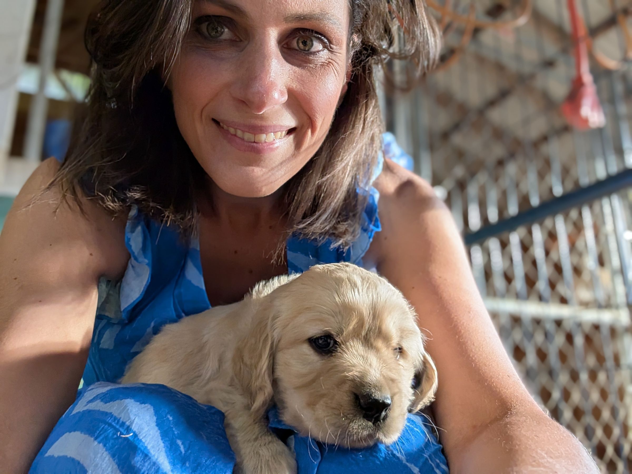 Holland Hoppers's image