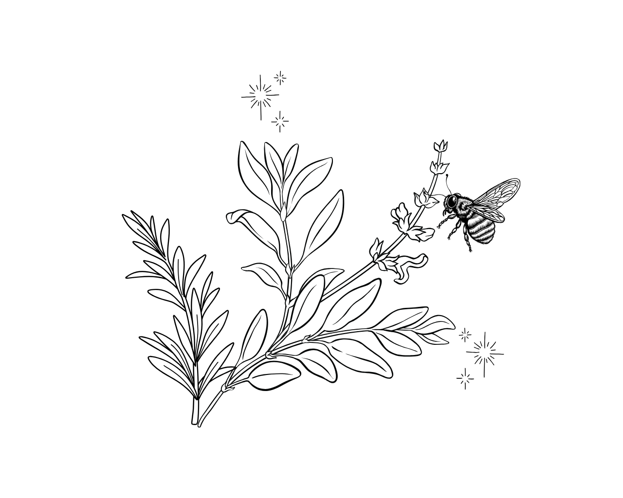 Sage Solution Cleaning's image