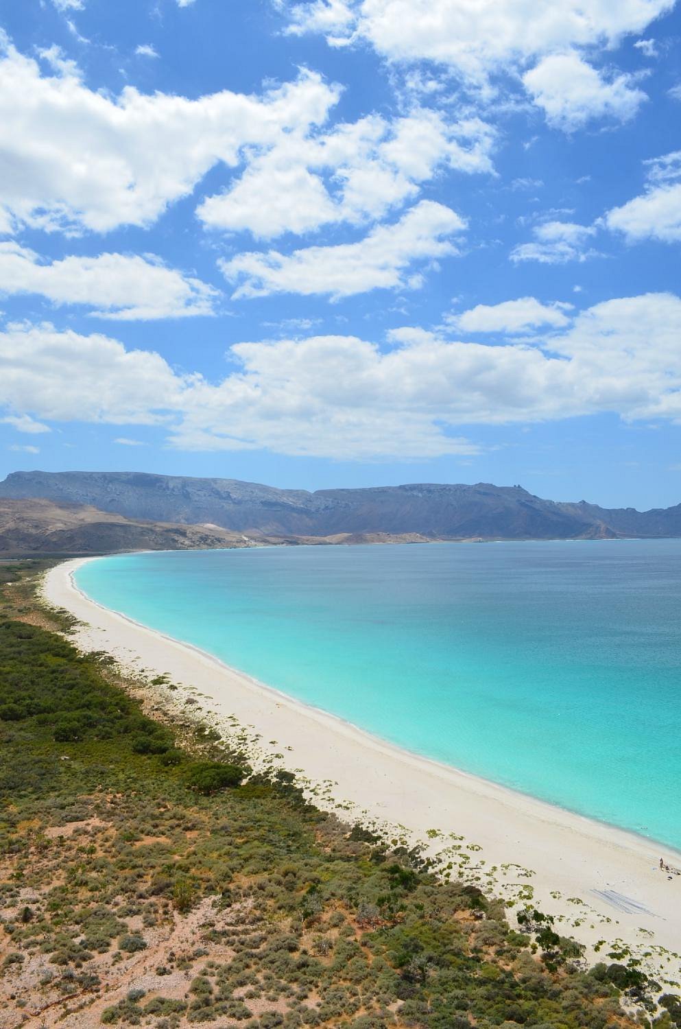 Socotra3mo's image
