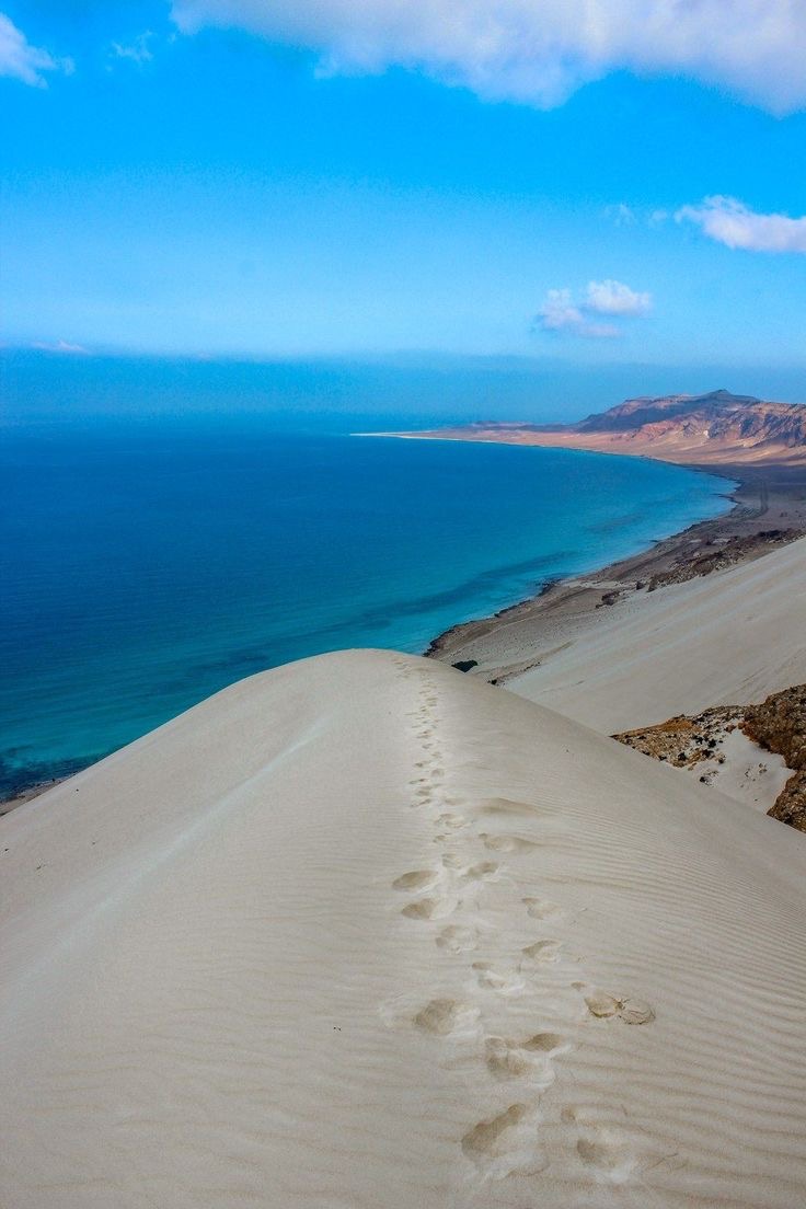 TRAVEL TO SOCOTRA 's image