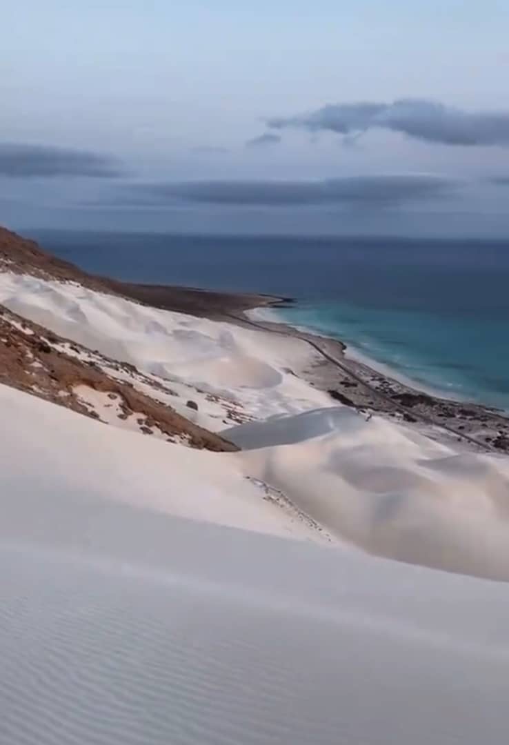 Socotra3mo's image
