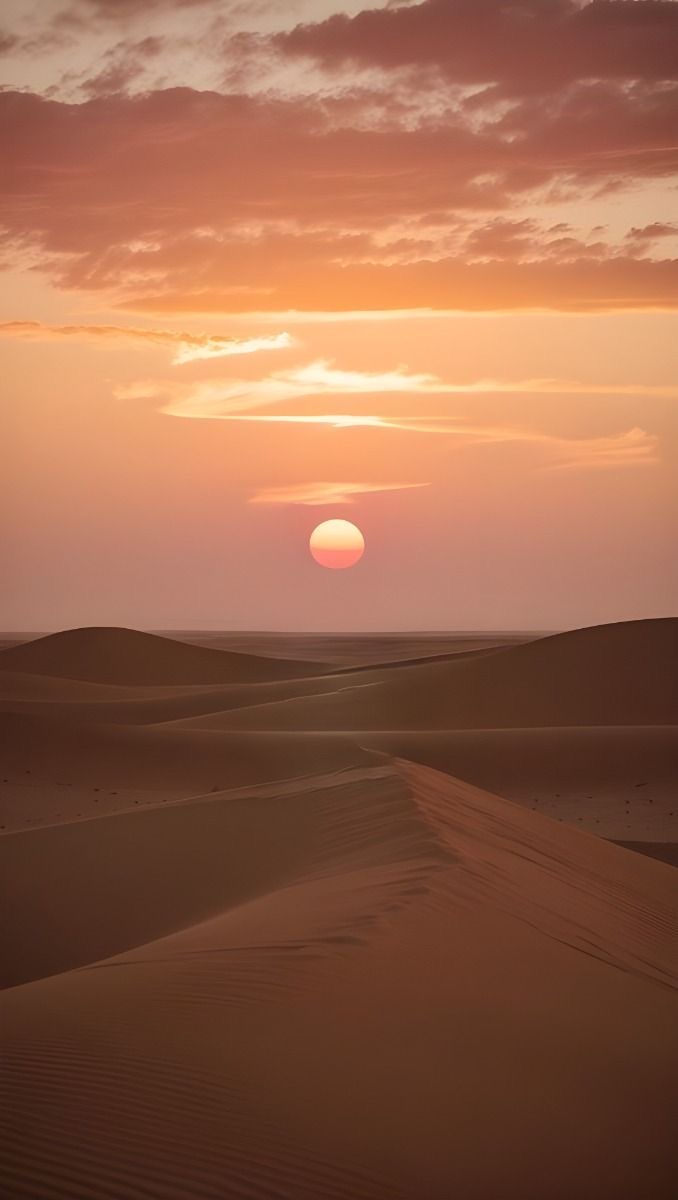 TRAVEL TO SOCOTRA 's image