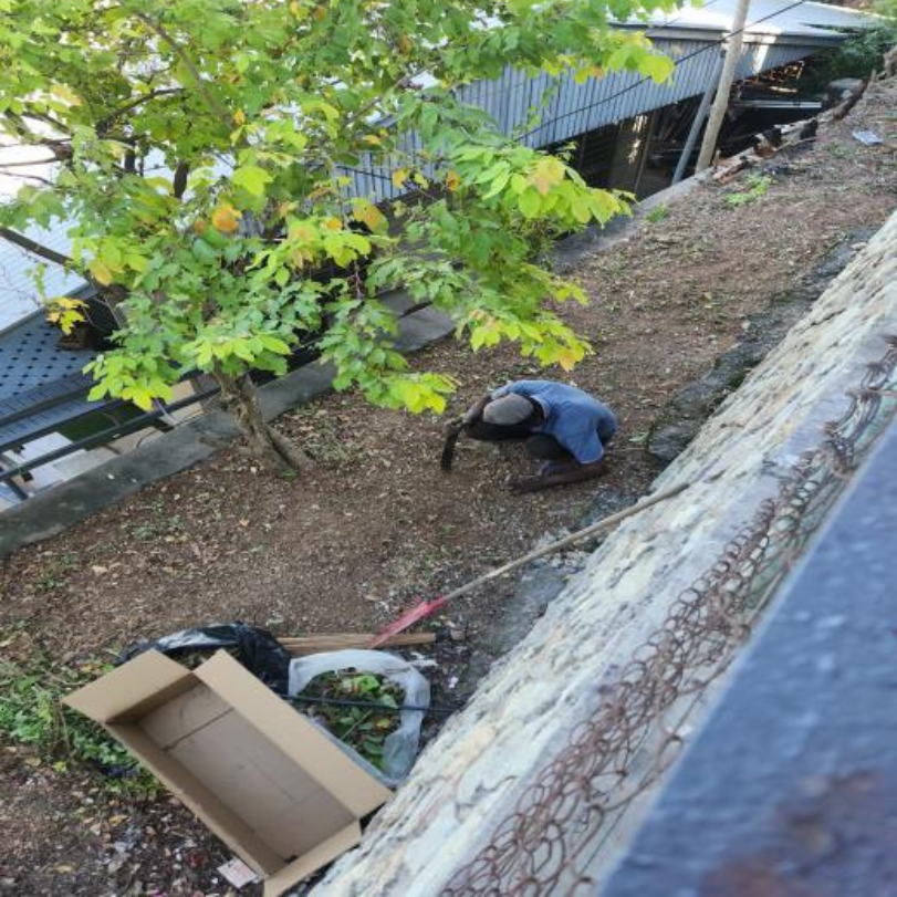 Wings & Wipes's image