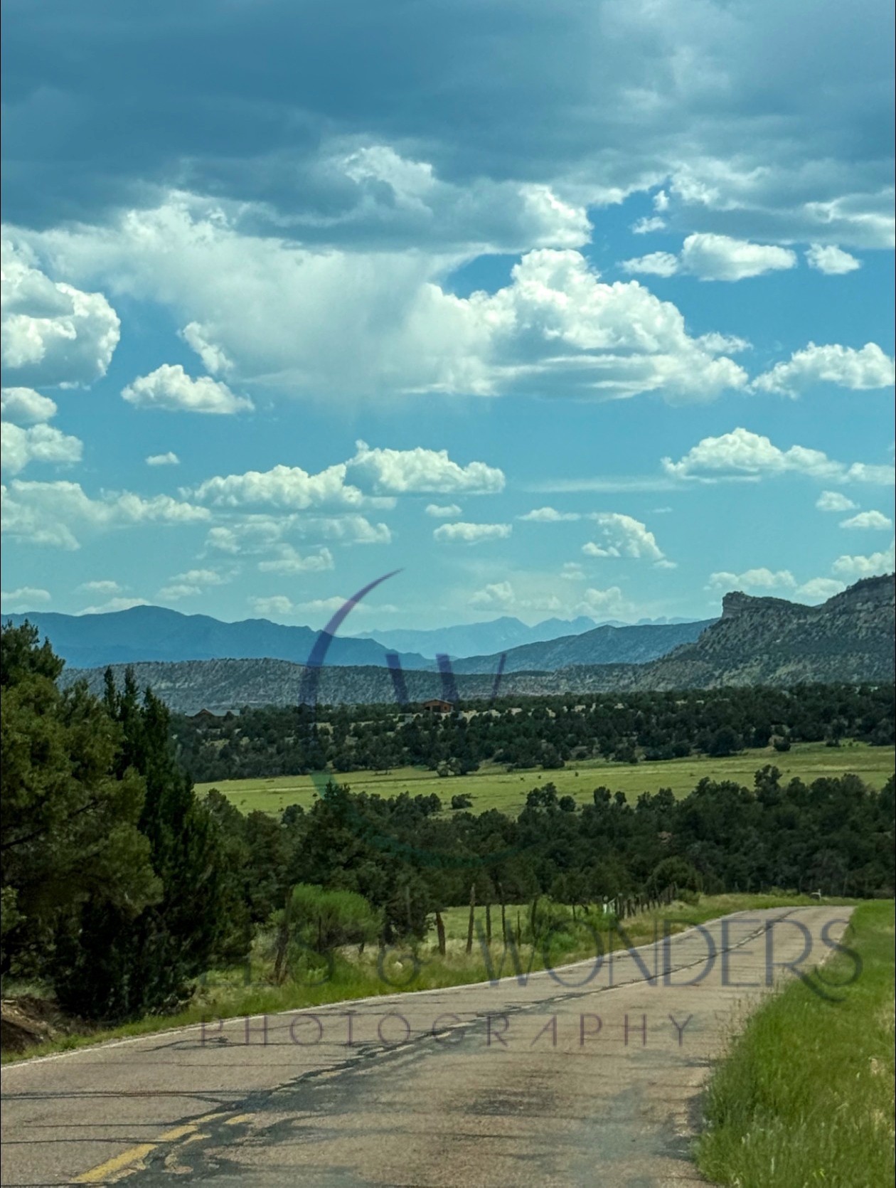 Wheels & Wonders Photography's image