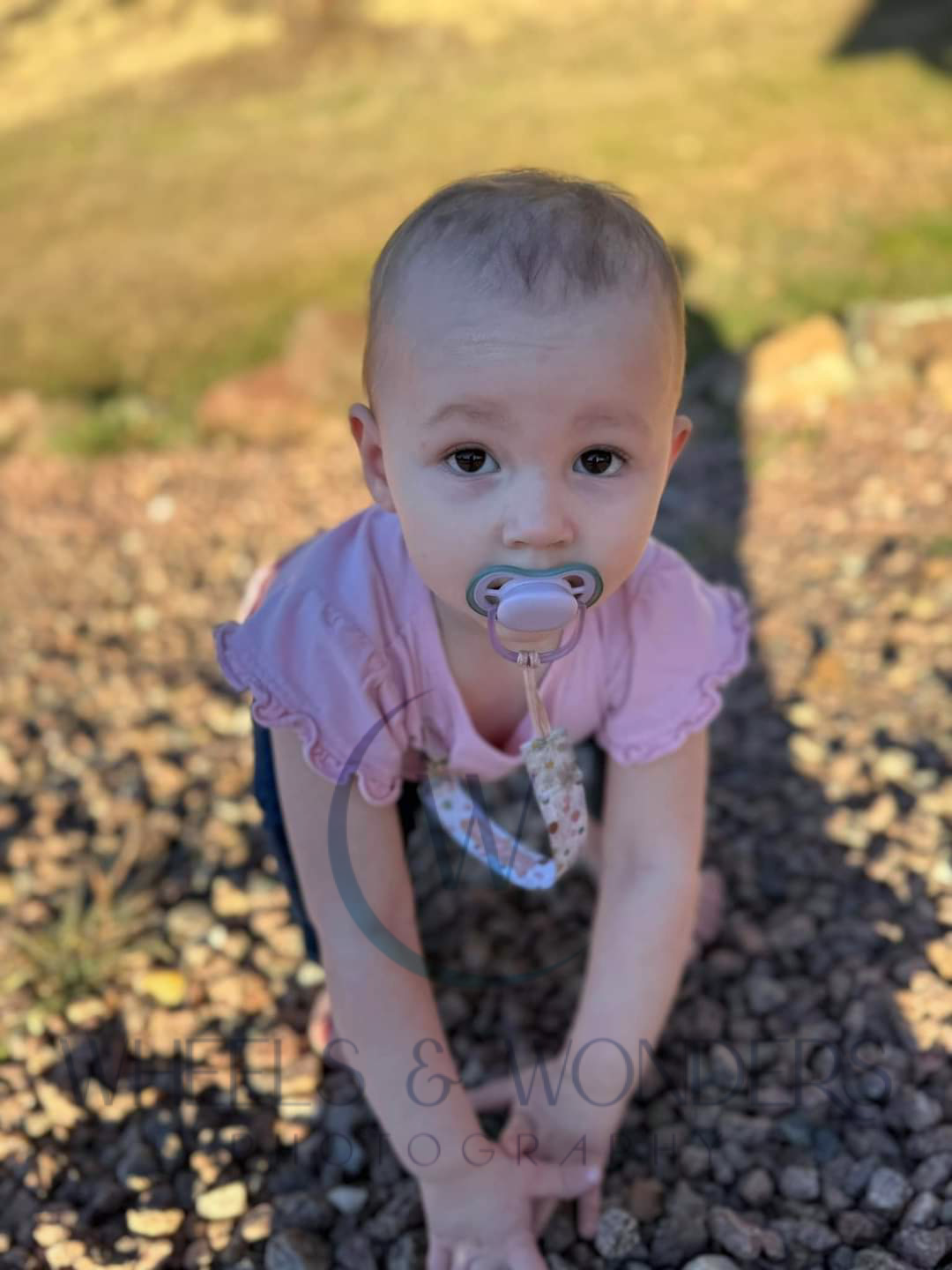 Wheels & Wonders Photography's image