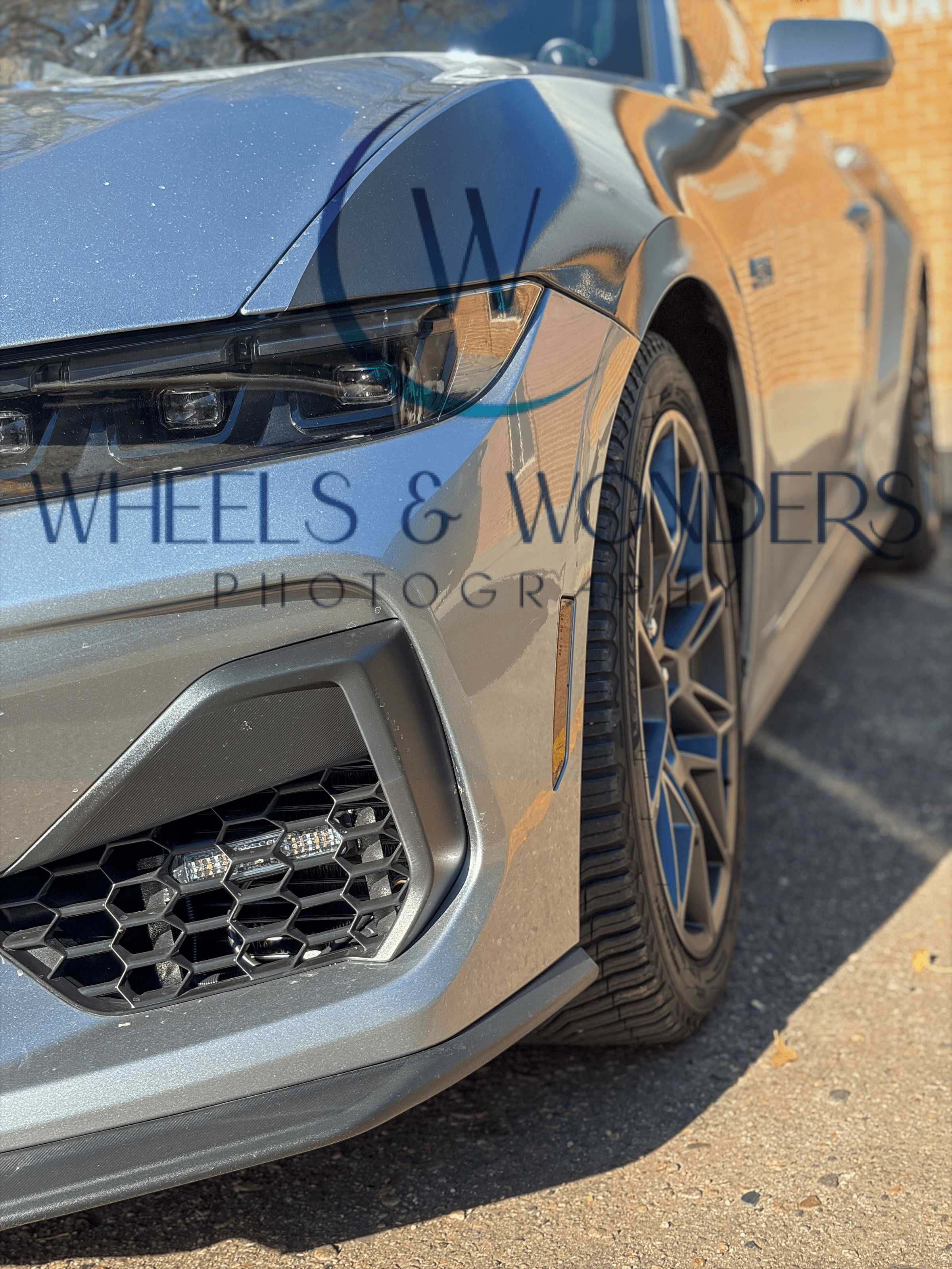 Wheels & Wonders Photography's image