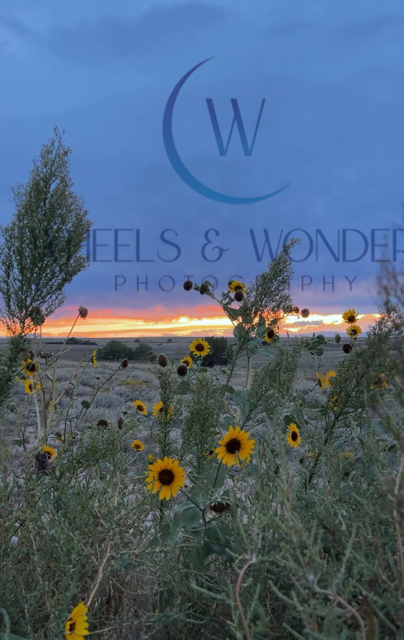 Wheels & Wonders Photography's image