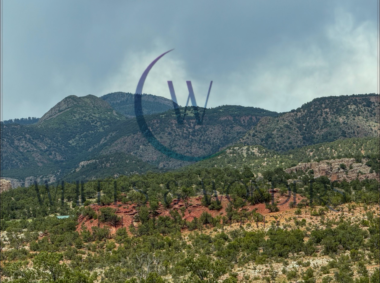 Wheels & Wonders Photography's image