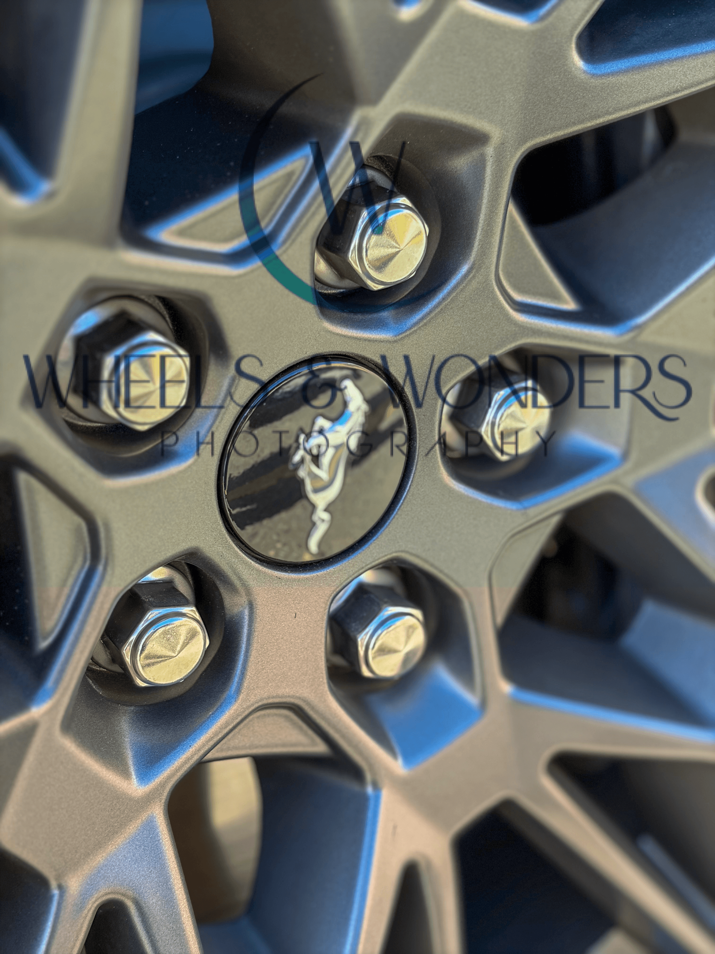 Wheels & Wonders Photography's image