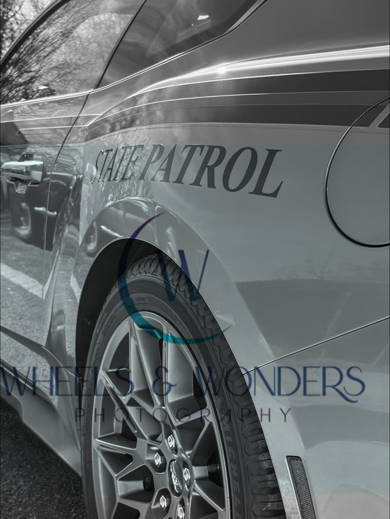 Wheels & Wonders Photography's image