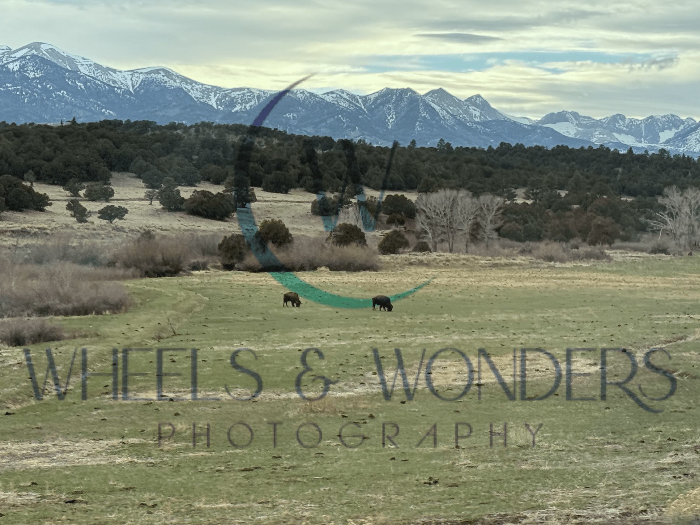 Wheels & Wonders Photography's image