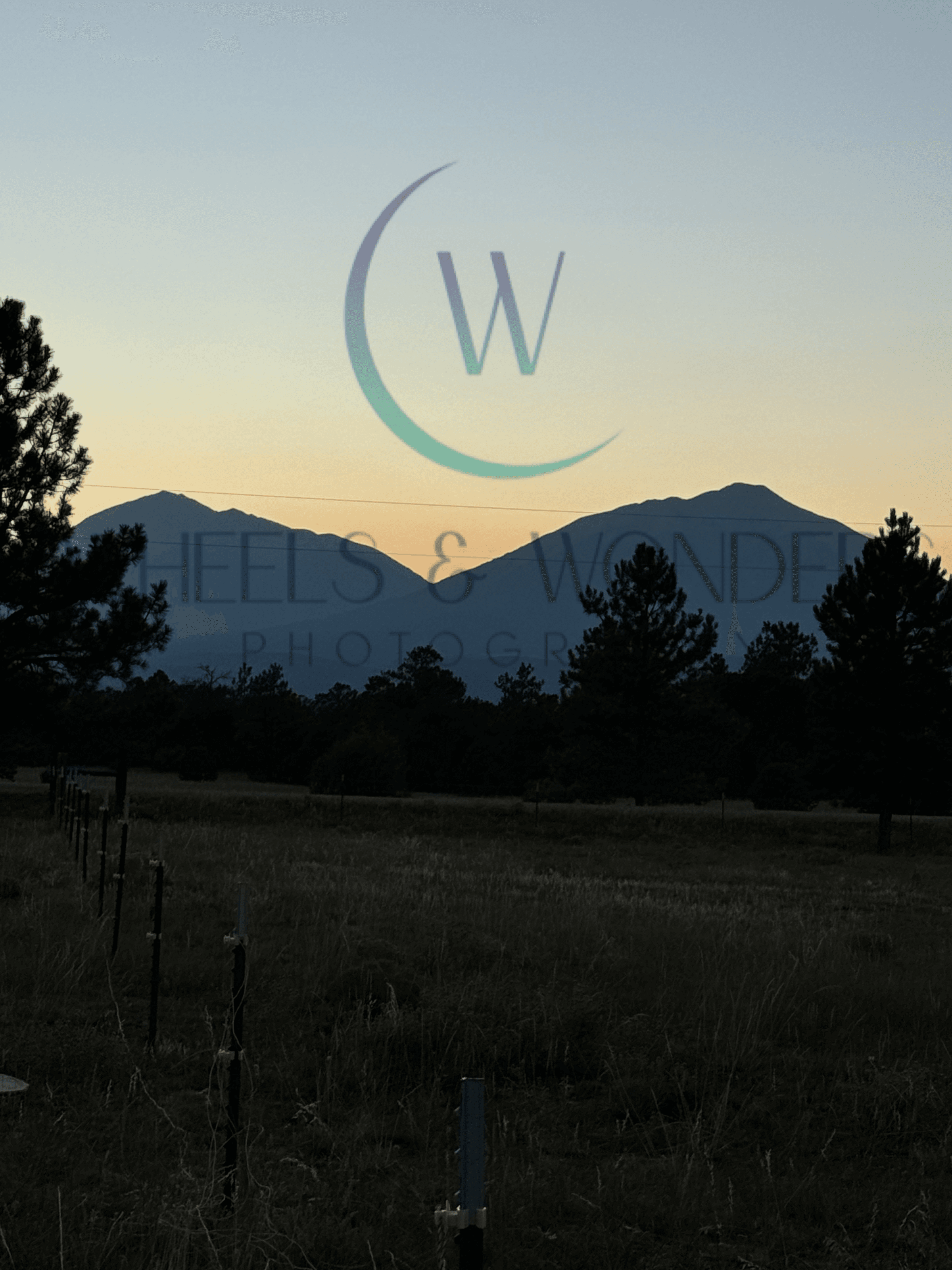 Wheels & Wonders Photography's image