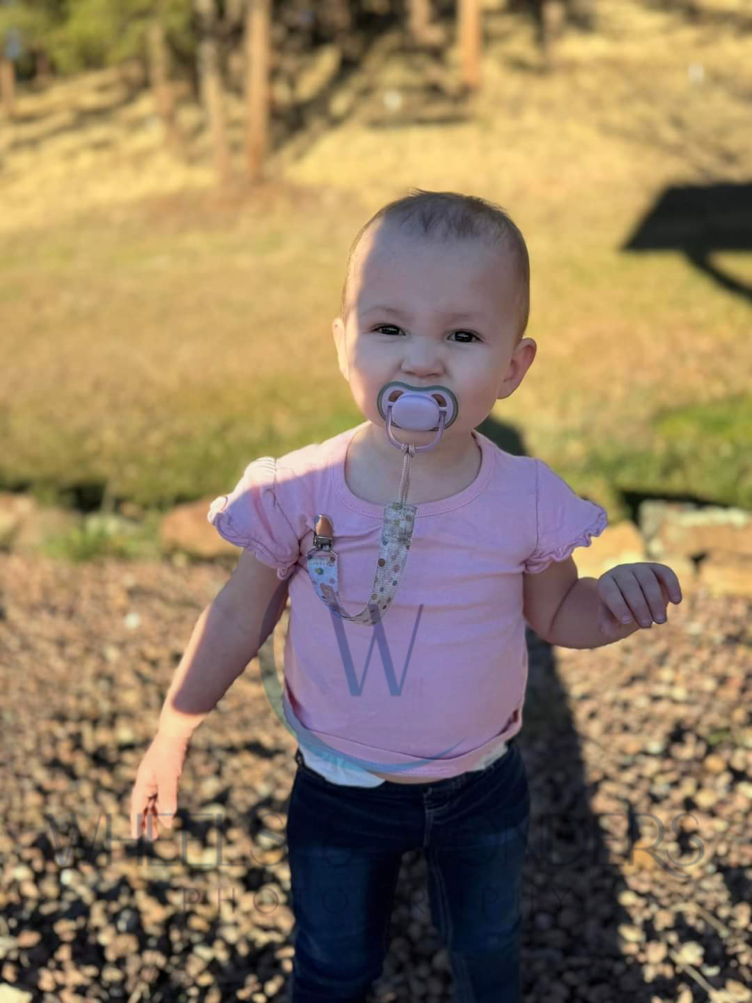 Wheels & Wonders Photography's image