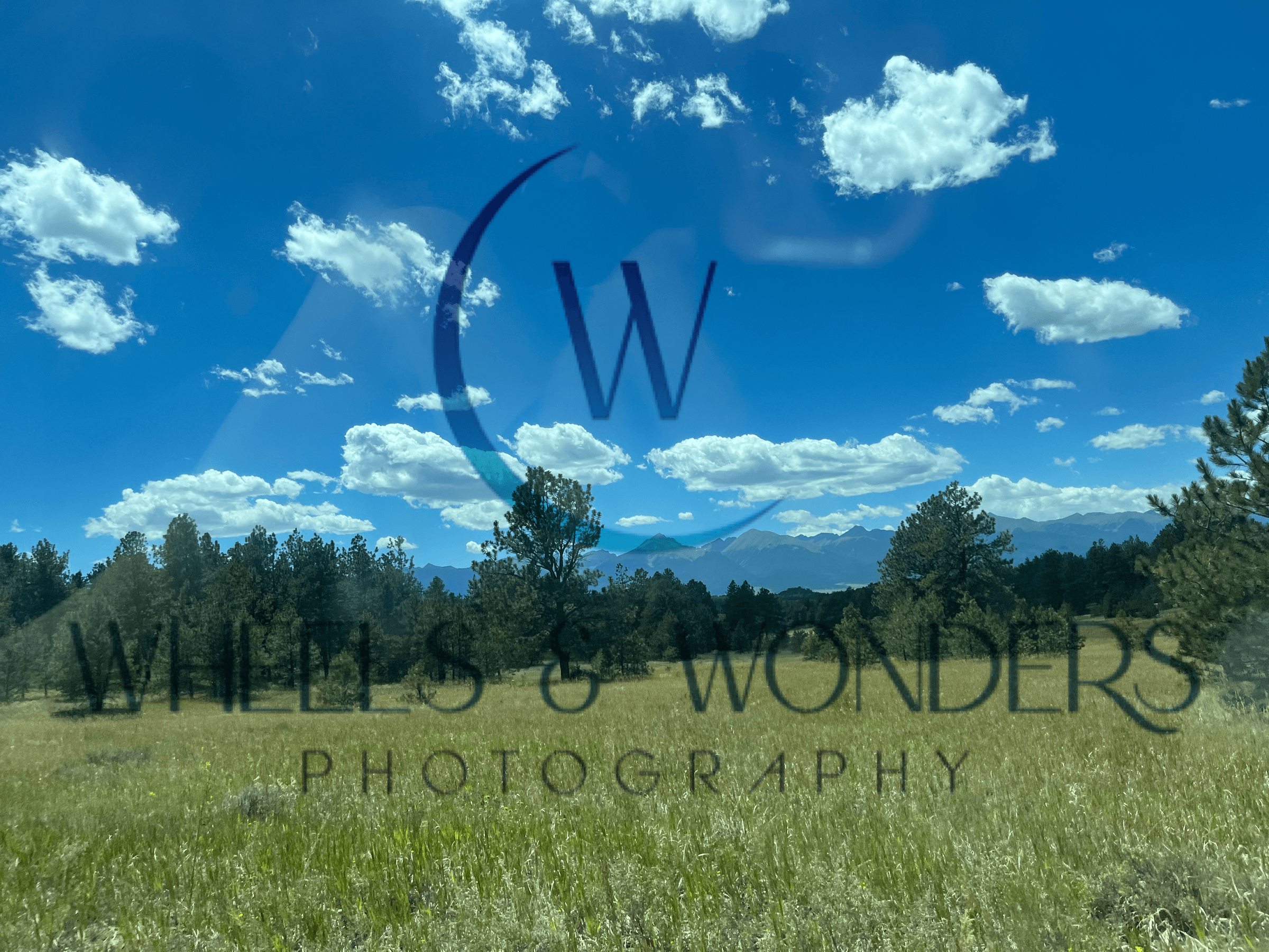 Wheels & Wonders Photography's image