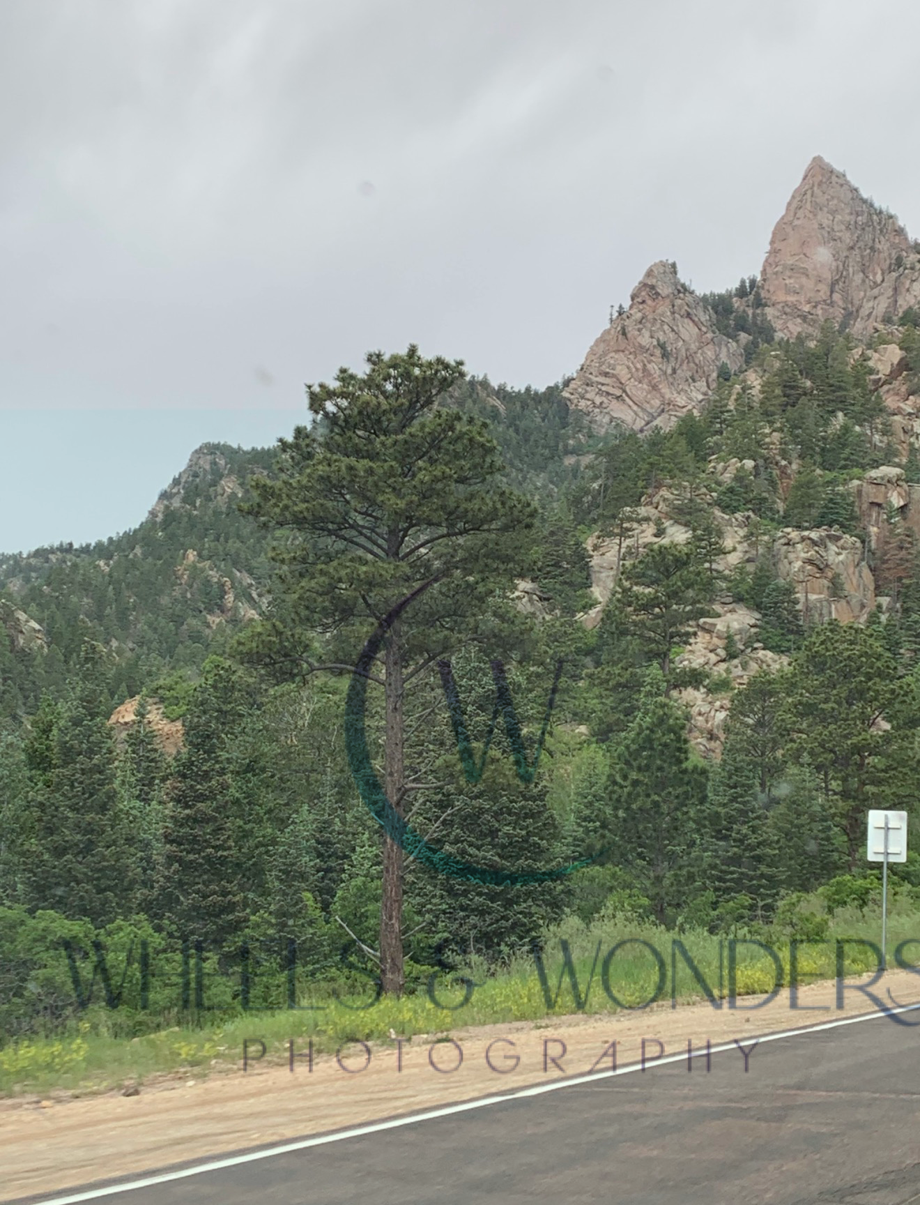 Wheels & Wonders Photography's image