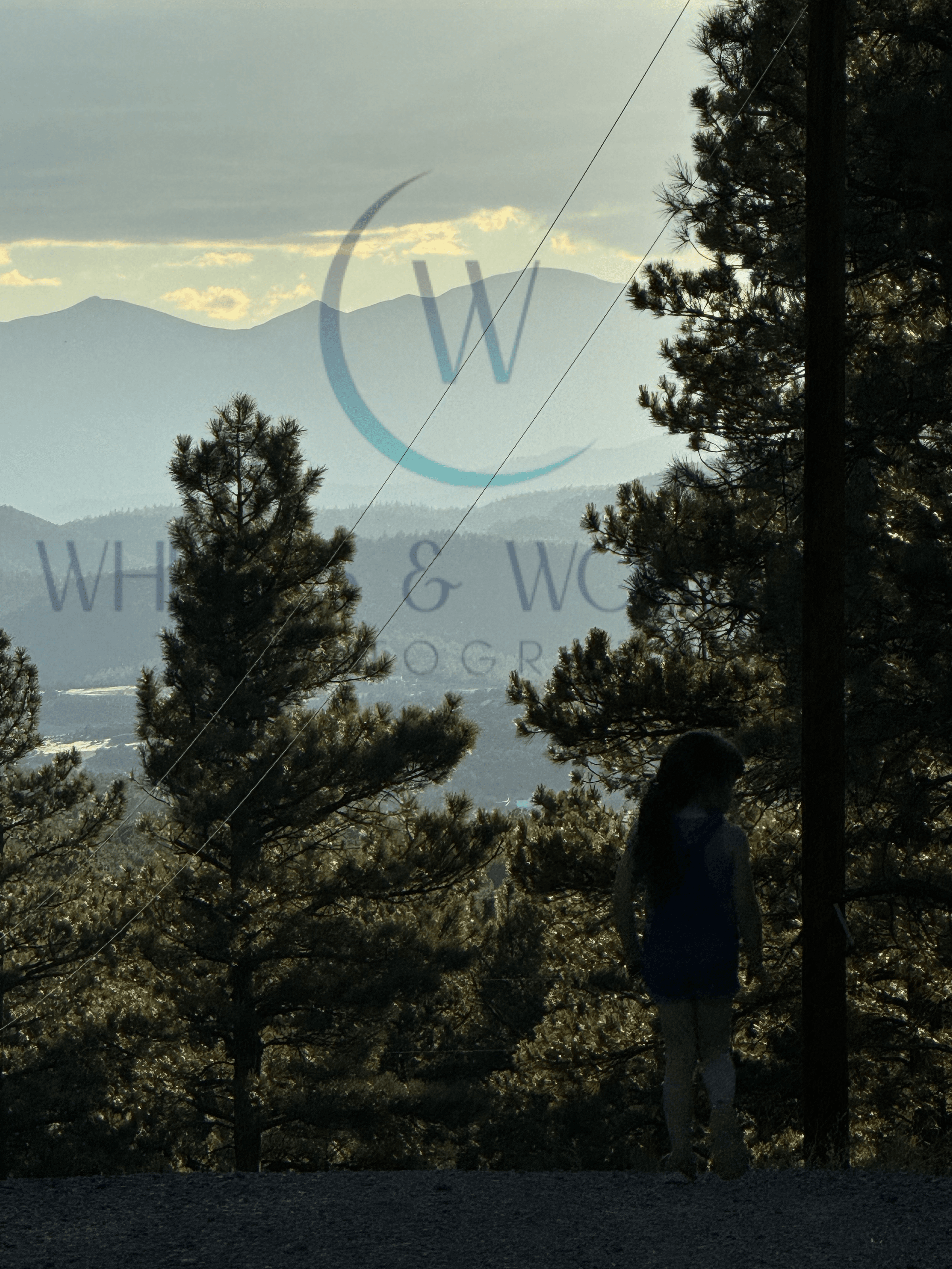 Wheels & Wonders Photography's image