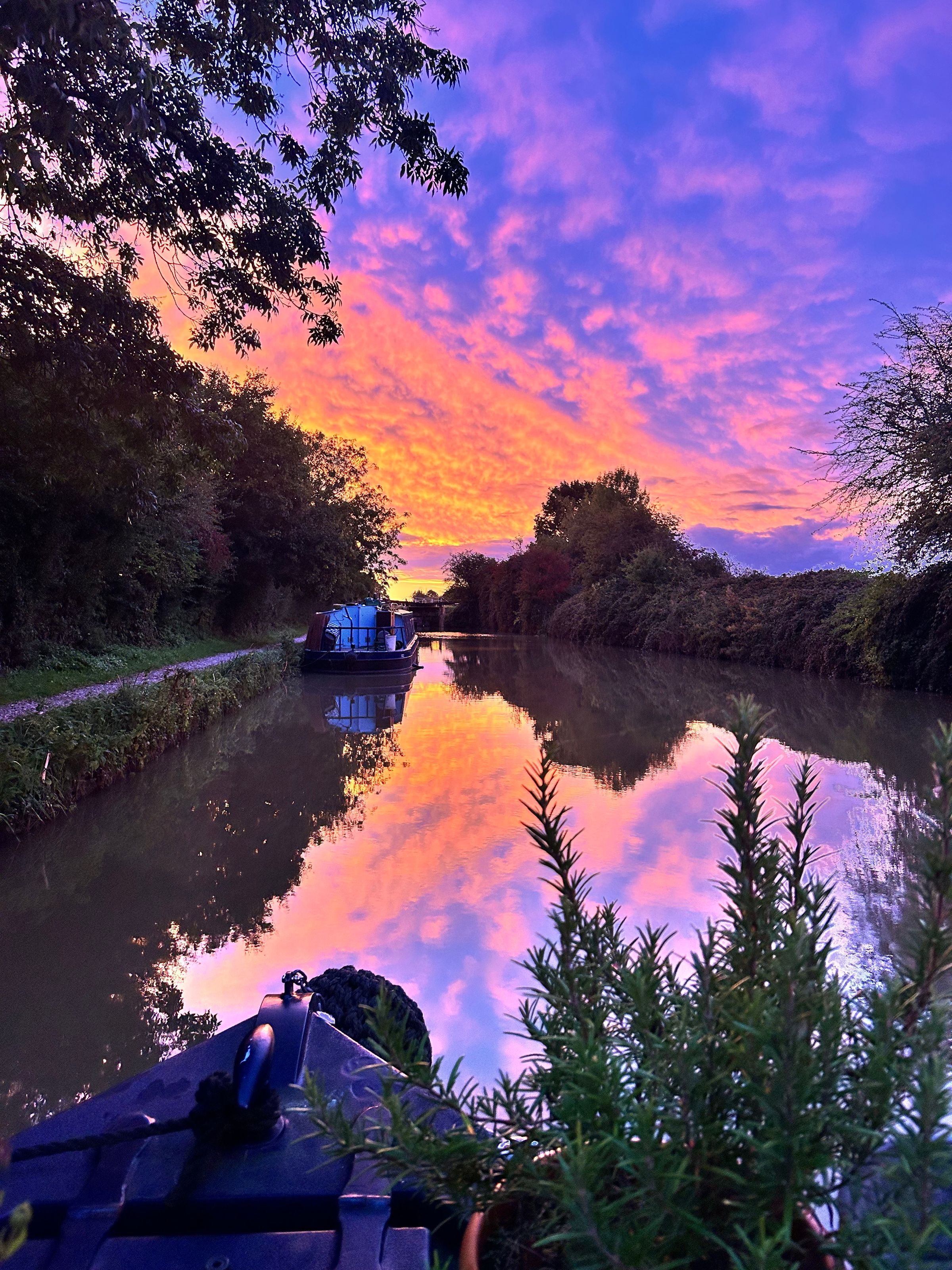 Narrow boat & wide beam Services's image