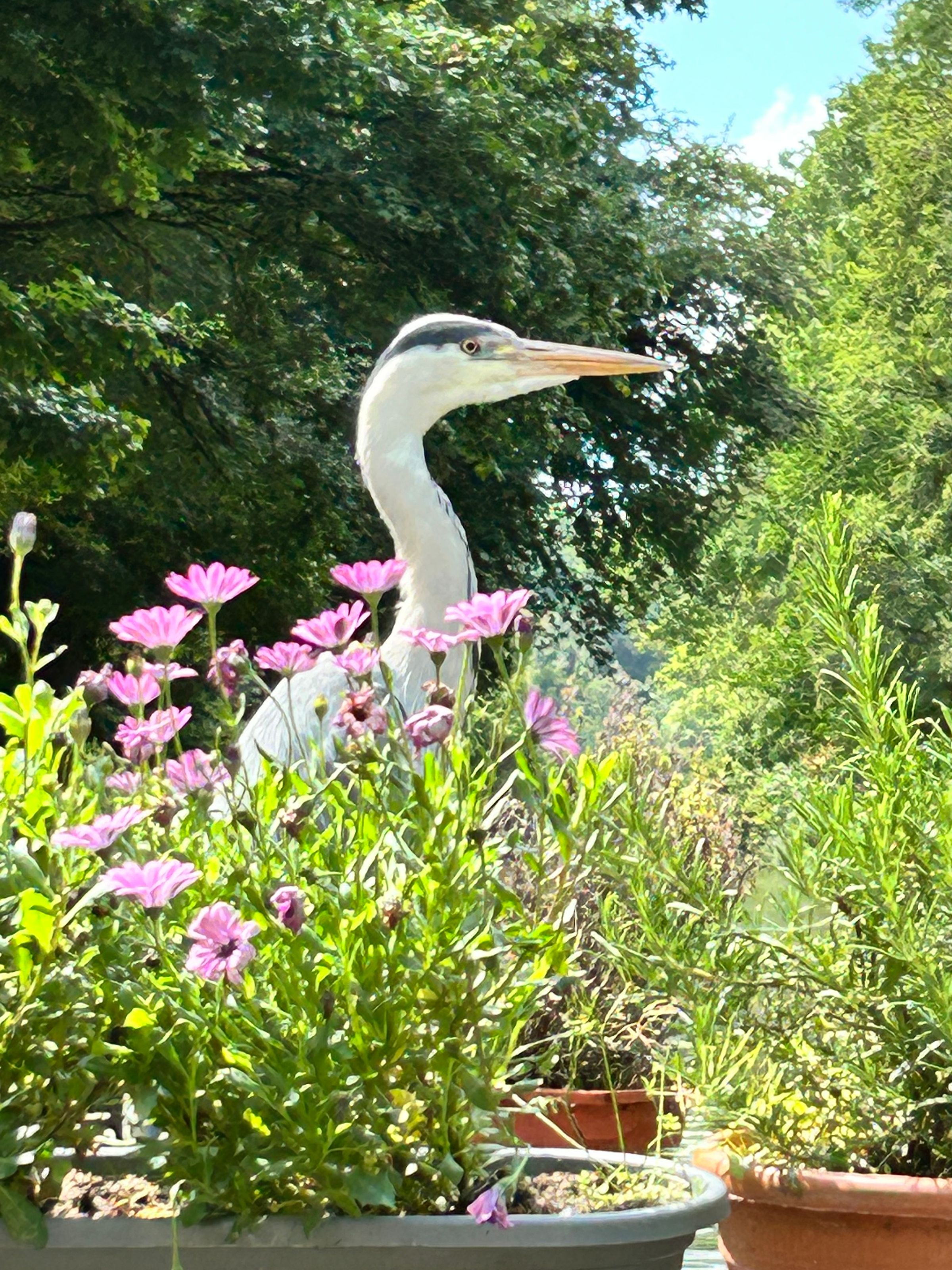 Narrow boat & wide beam Services's image