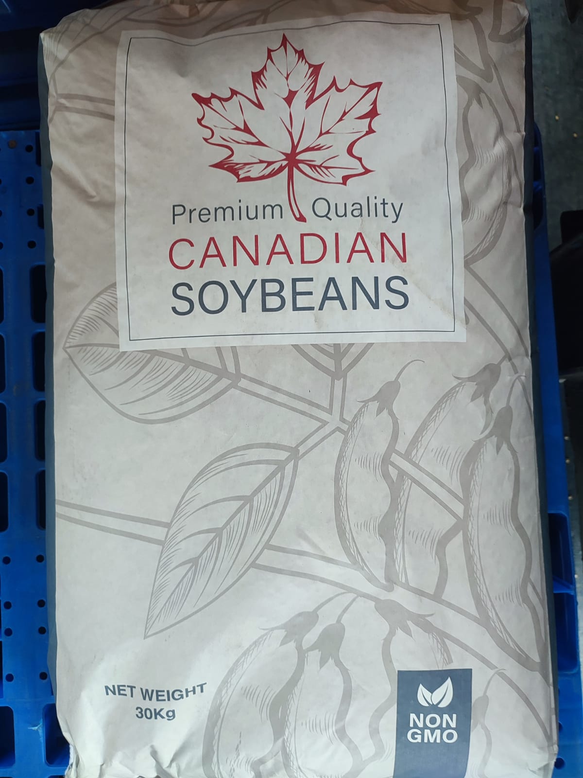 PT Soya Star's image