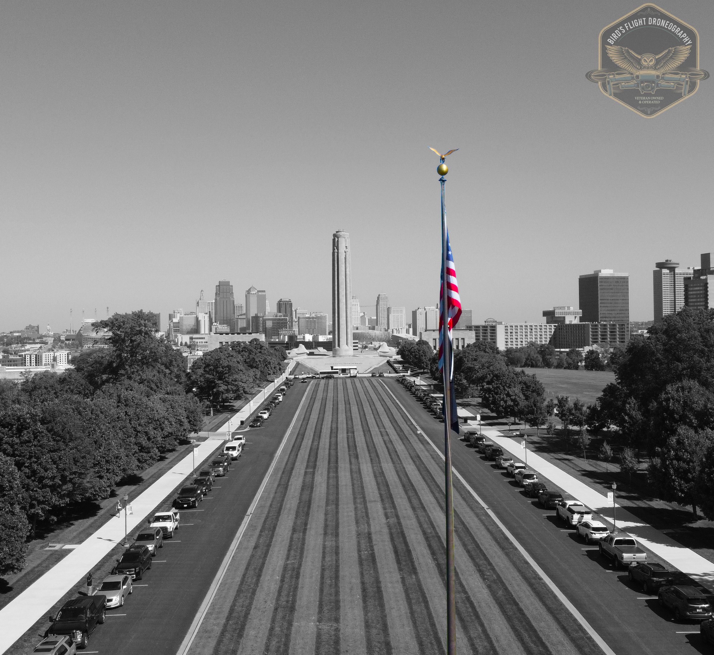 Bird's Flight Droneography's image