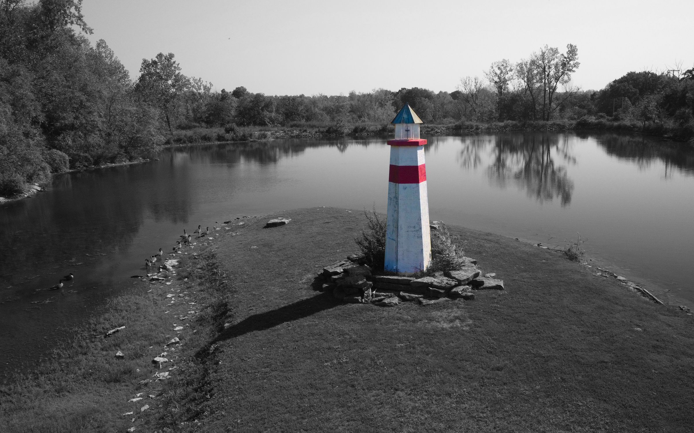 Bird's Flight Droneography's image