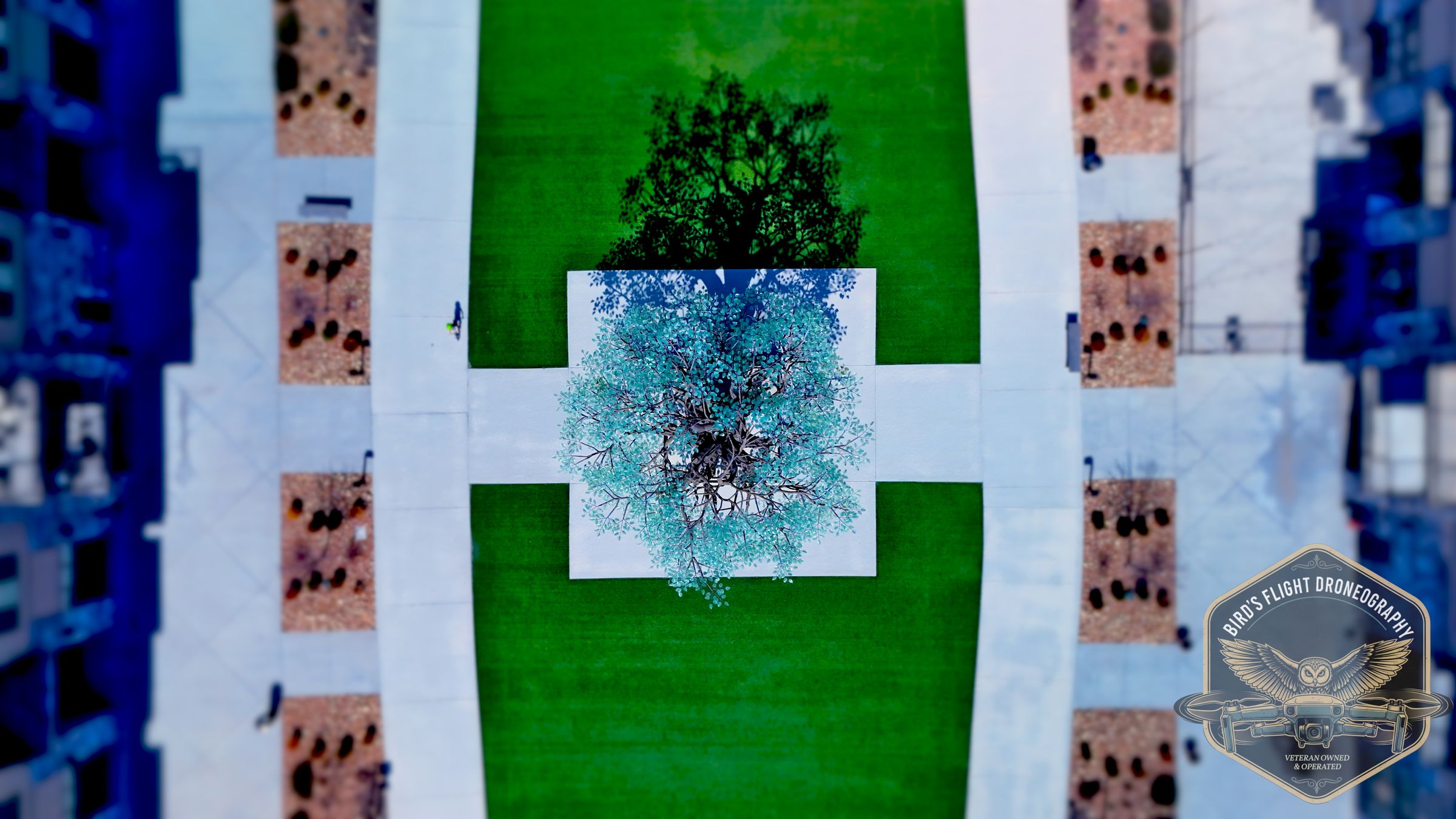 Bird's Flight Droneography | Drone Photography Kansas City's image