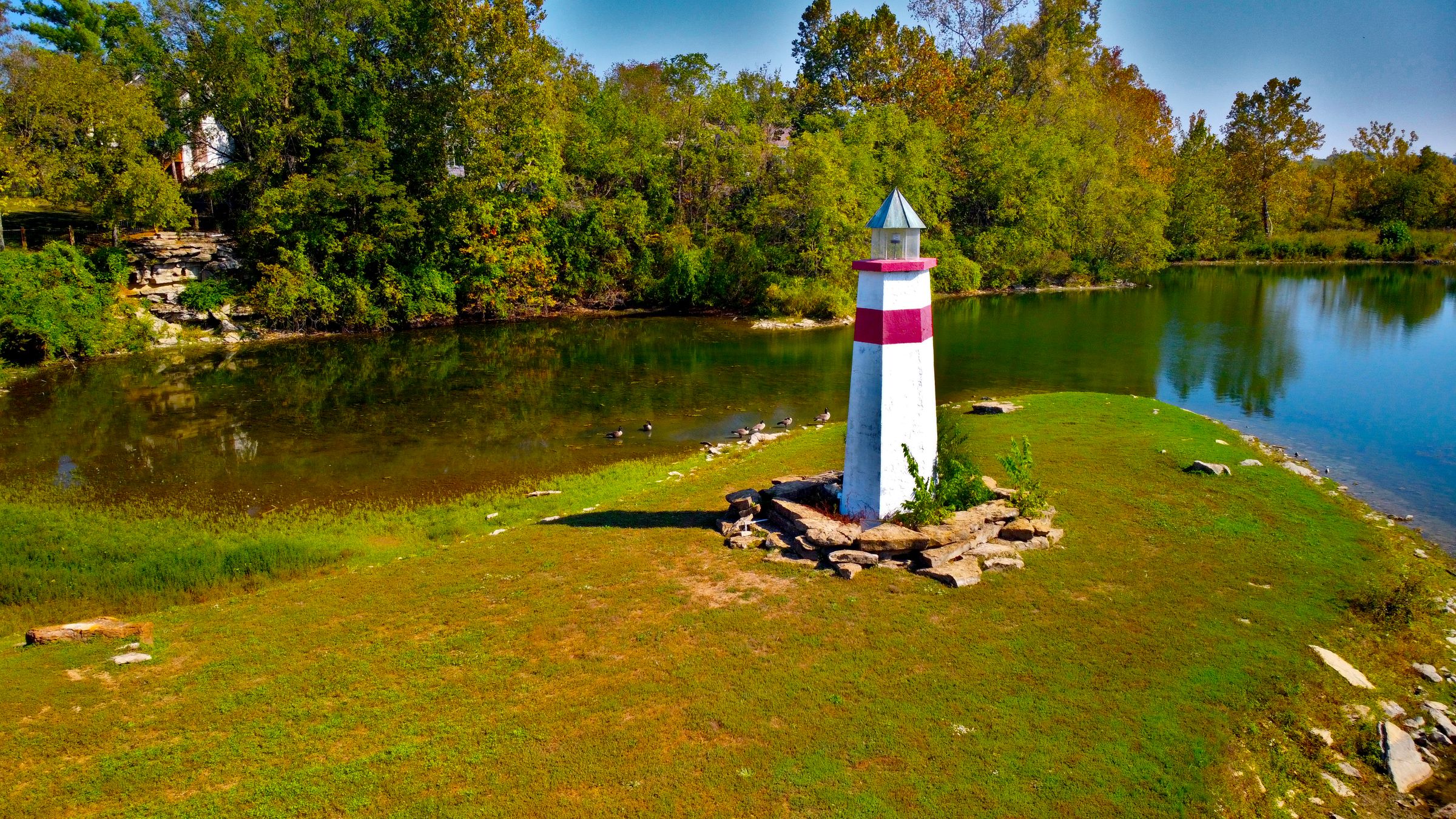 Bird's Flight Droneography's image