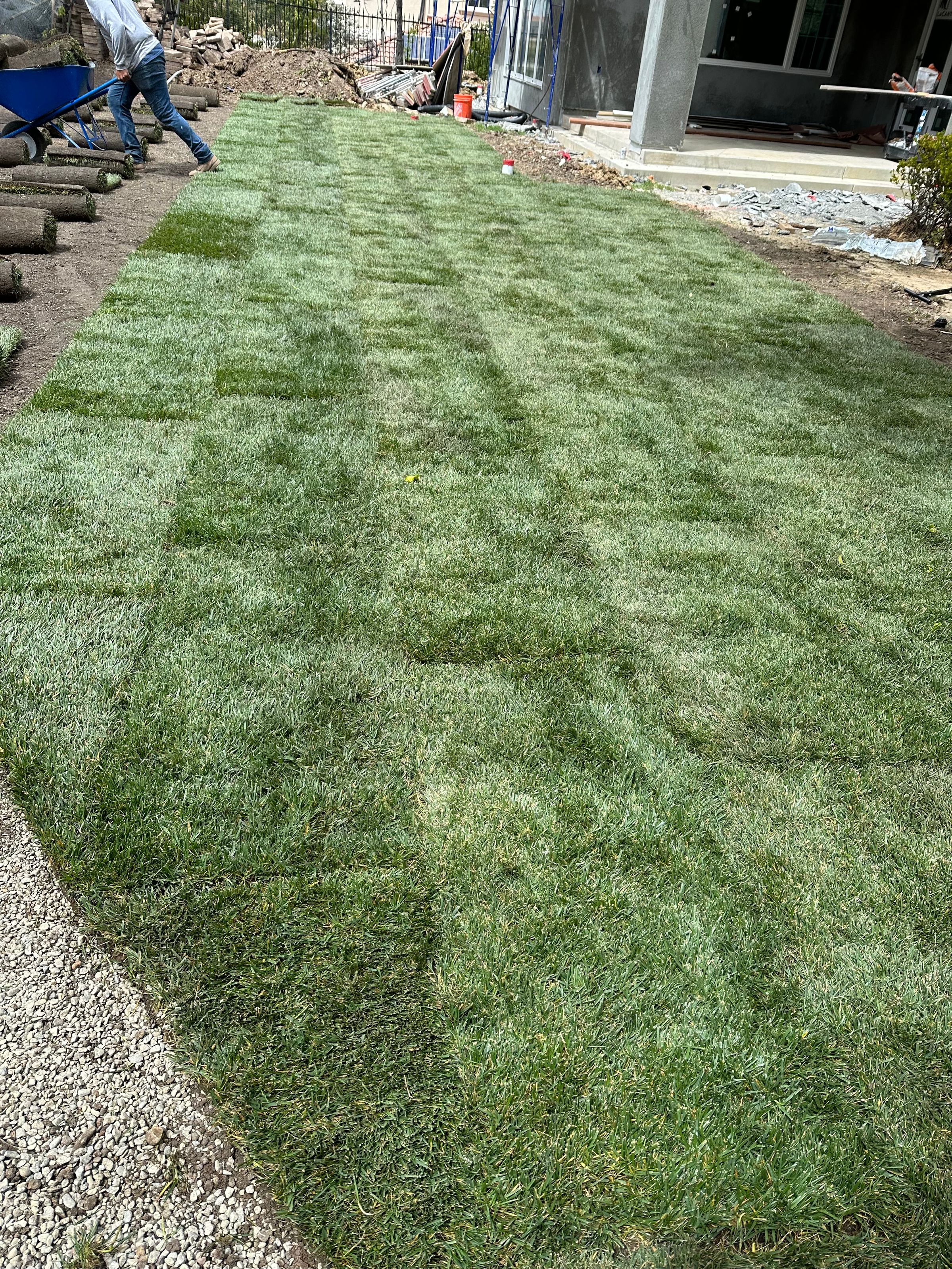 MS Landscaping 's image