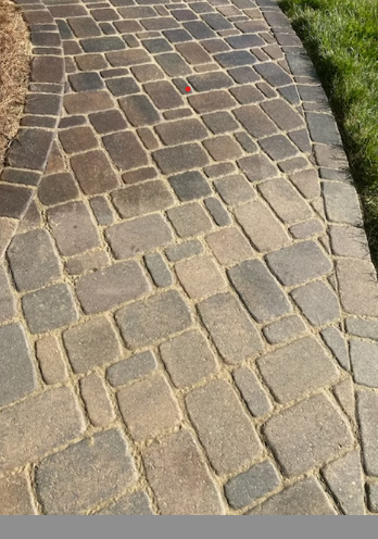  Paver Restore Outdoor 's image