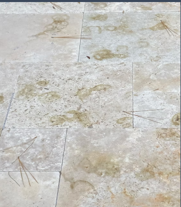  Paver Restore Outdoor 's image