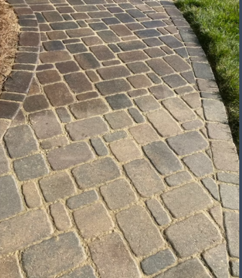  Paver Restore Outdoor 's image