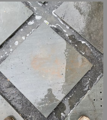  Paver Restore Outdoor 's image