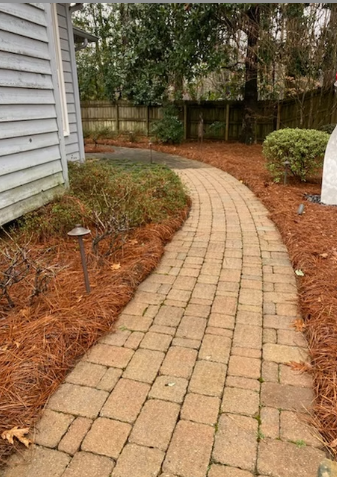  Paver Restore Outdoor 's image