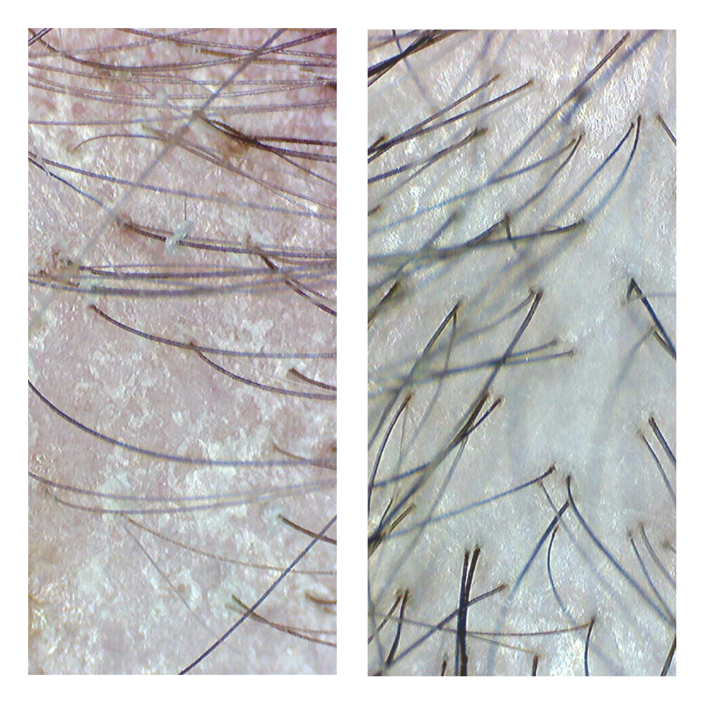 REJUVENATED ROOTS HEAD SPA's image