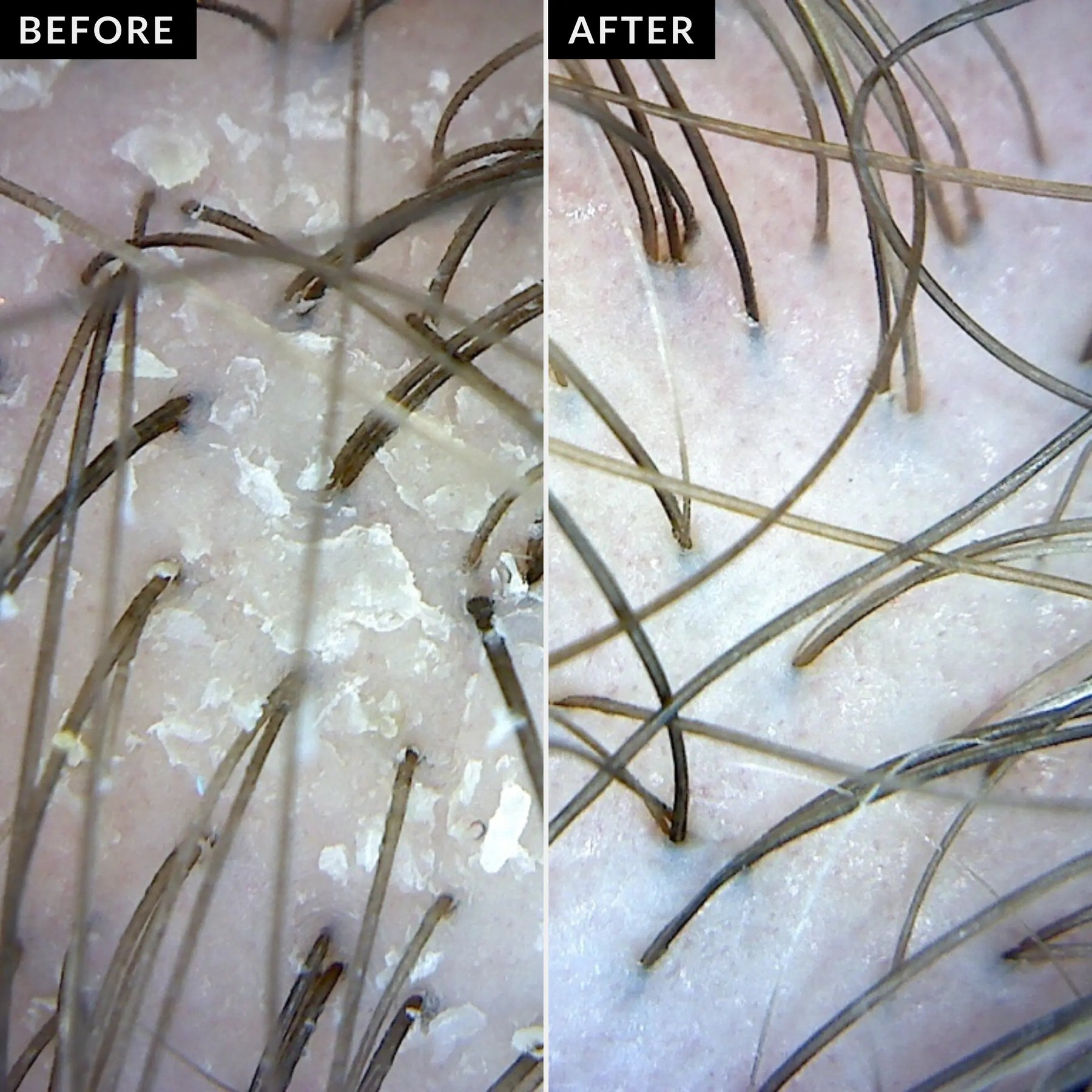 REJUVENATED ROOTS HEAD SPA's image